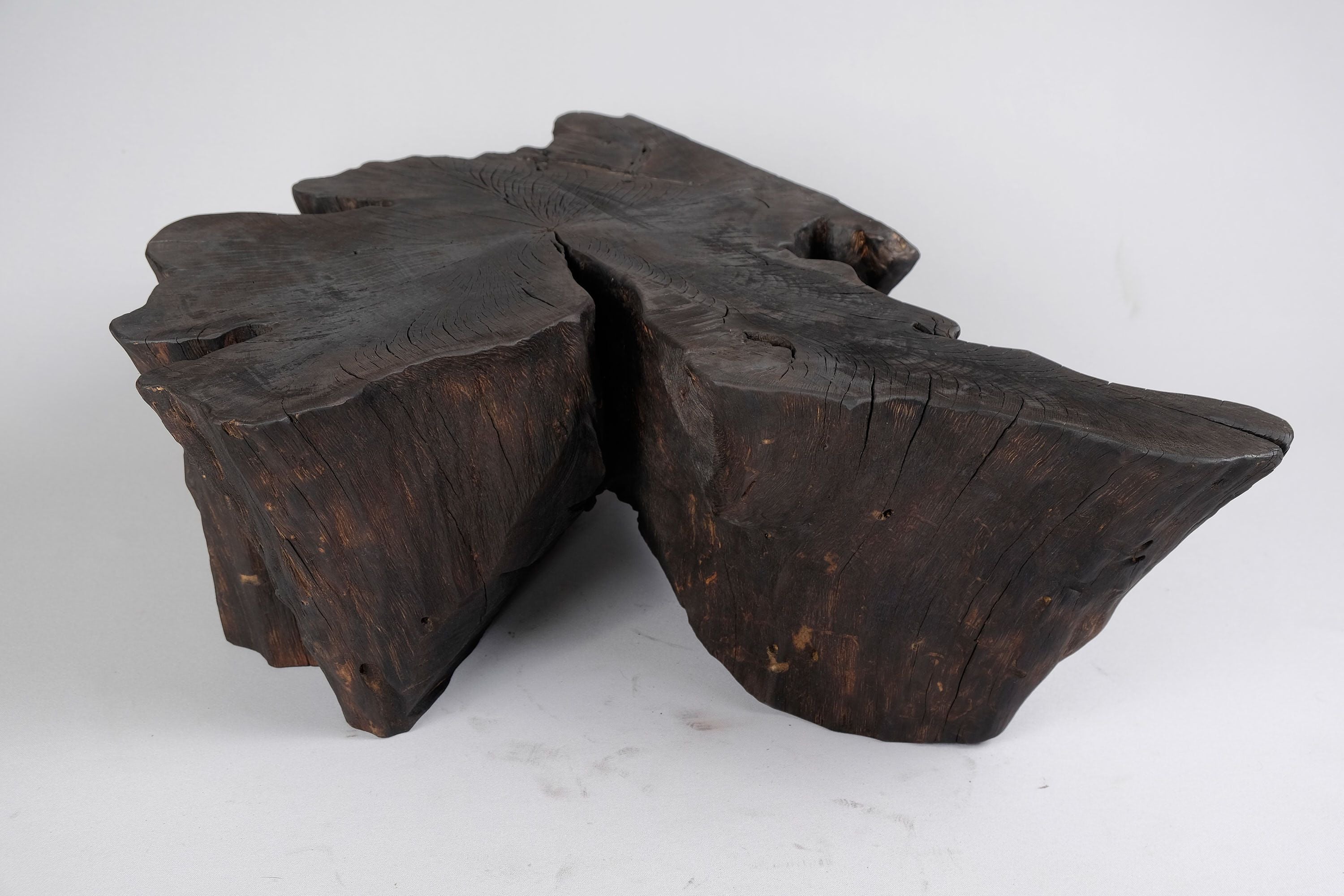 Jownik, Charred Rootform Coffee Table - image 12