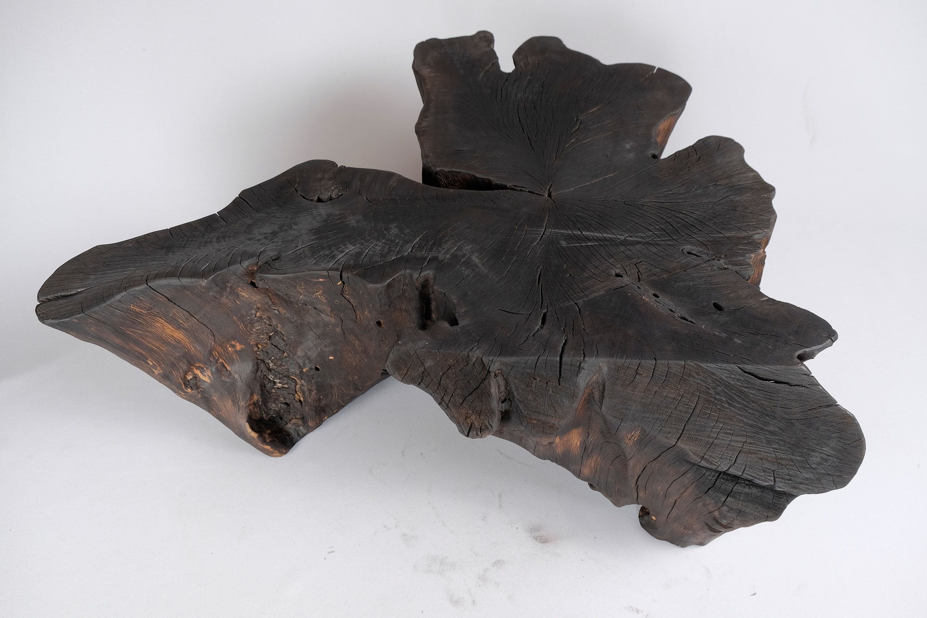 Jownik, Charred Rootform Coffee Table - image 16