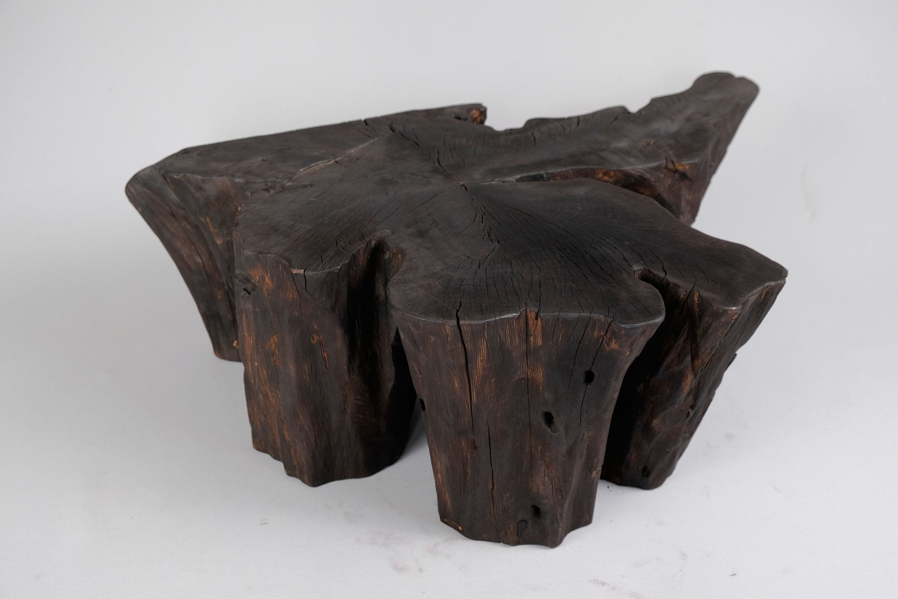 Jownik, Charred Rootform Coffee Table - image 7