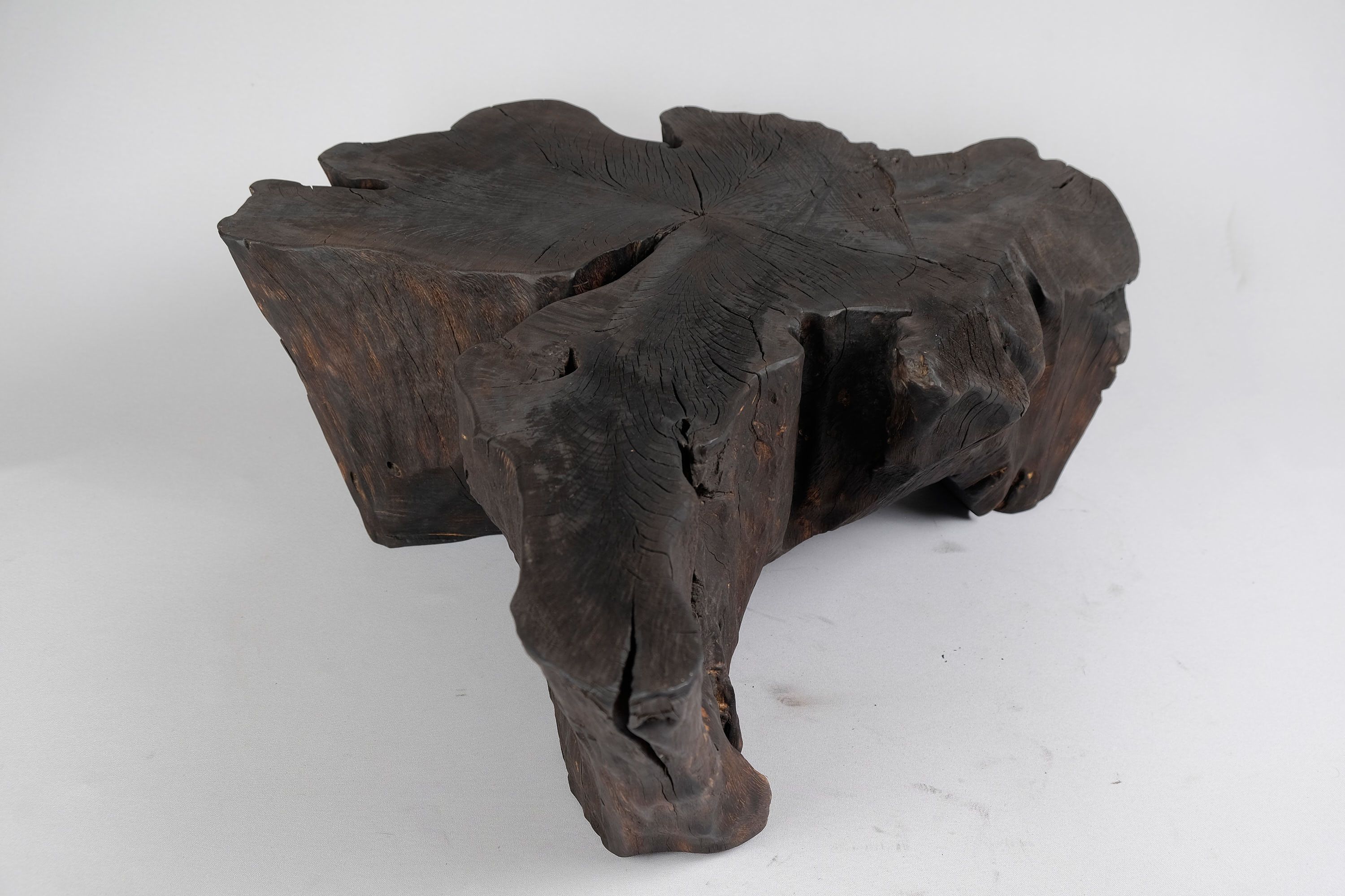 Jownik, Charred Rootform Coffee Table - image 13