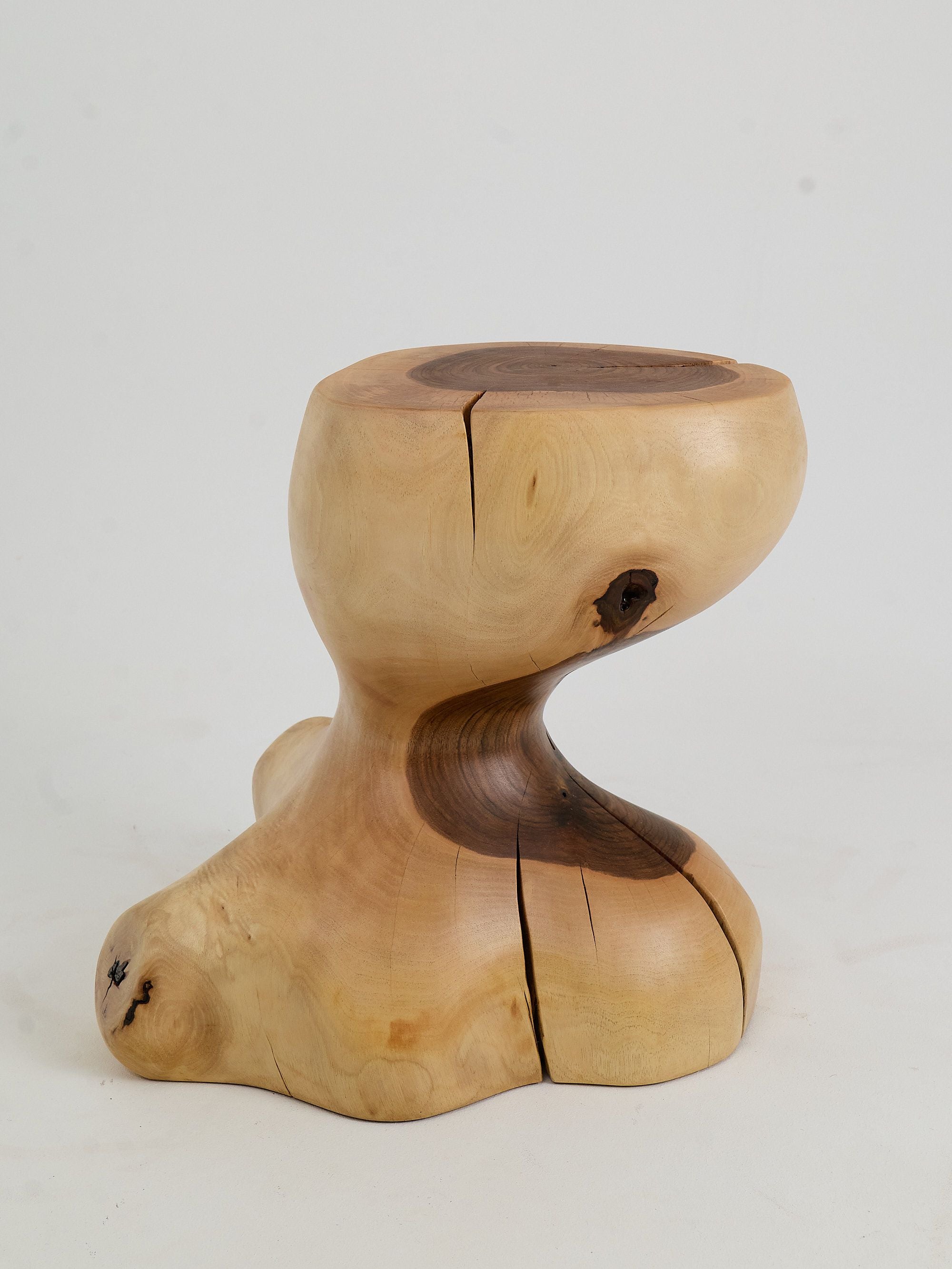 Leszy, Sculptural Side Table Carved in Solid Wood - image 2