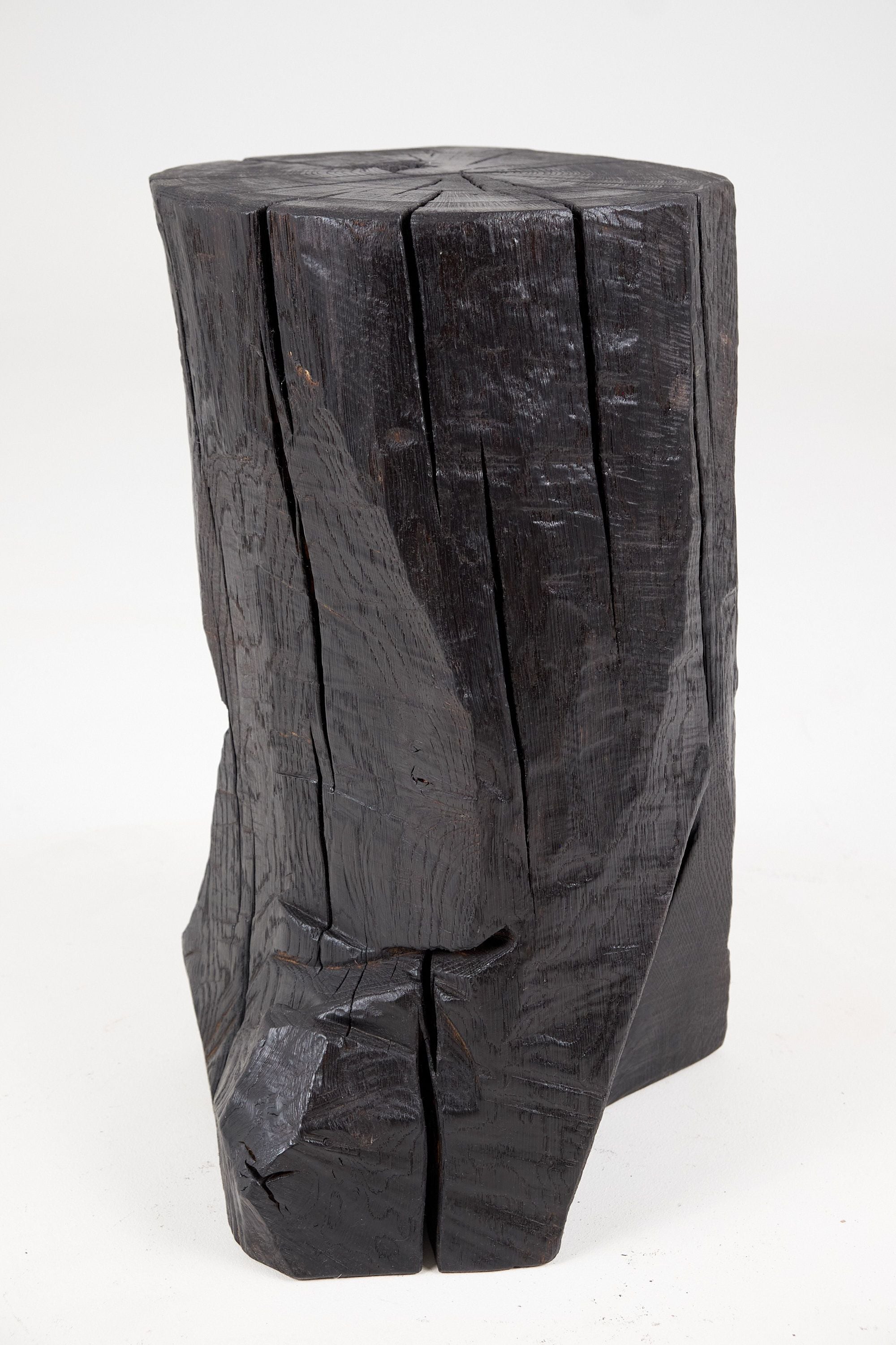 Jownik, Sculptural Charred Side Table - image 10