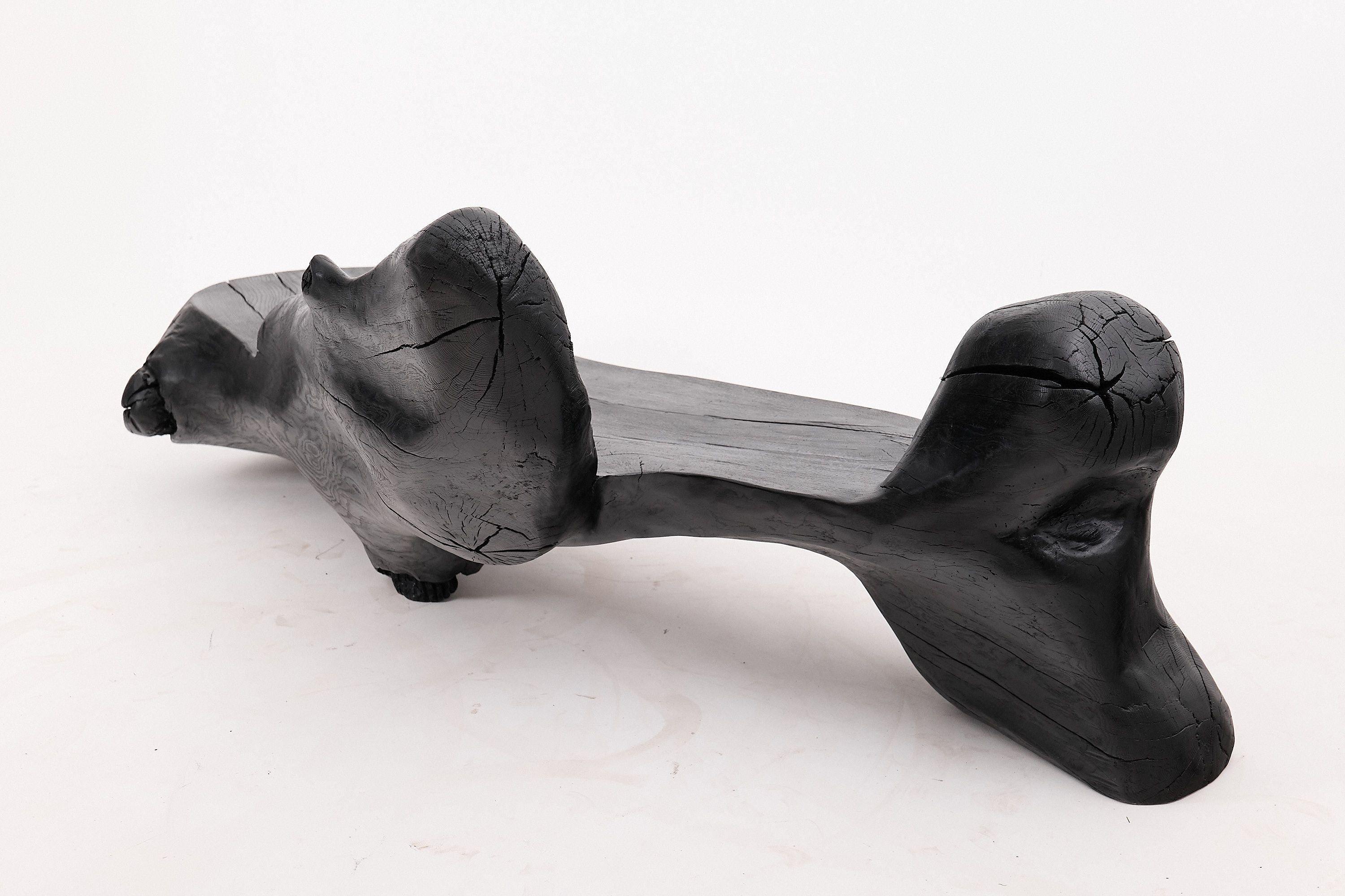 XXL Sculptural Charred Wood Bench in Organic Form, Hand-Carved from Solid Log - image 13