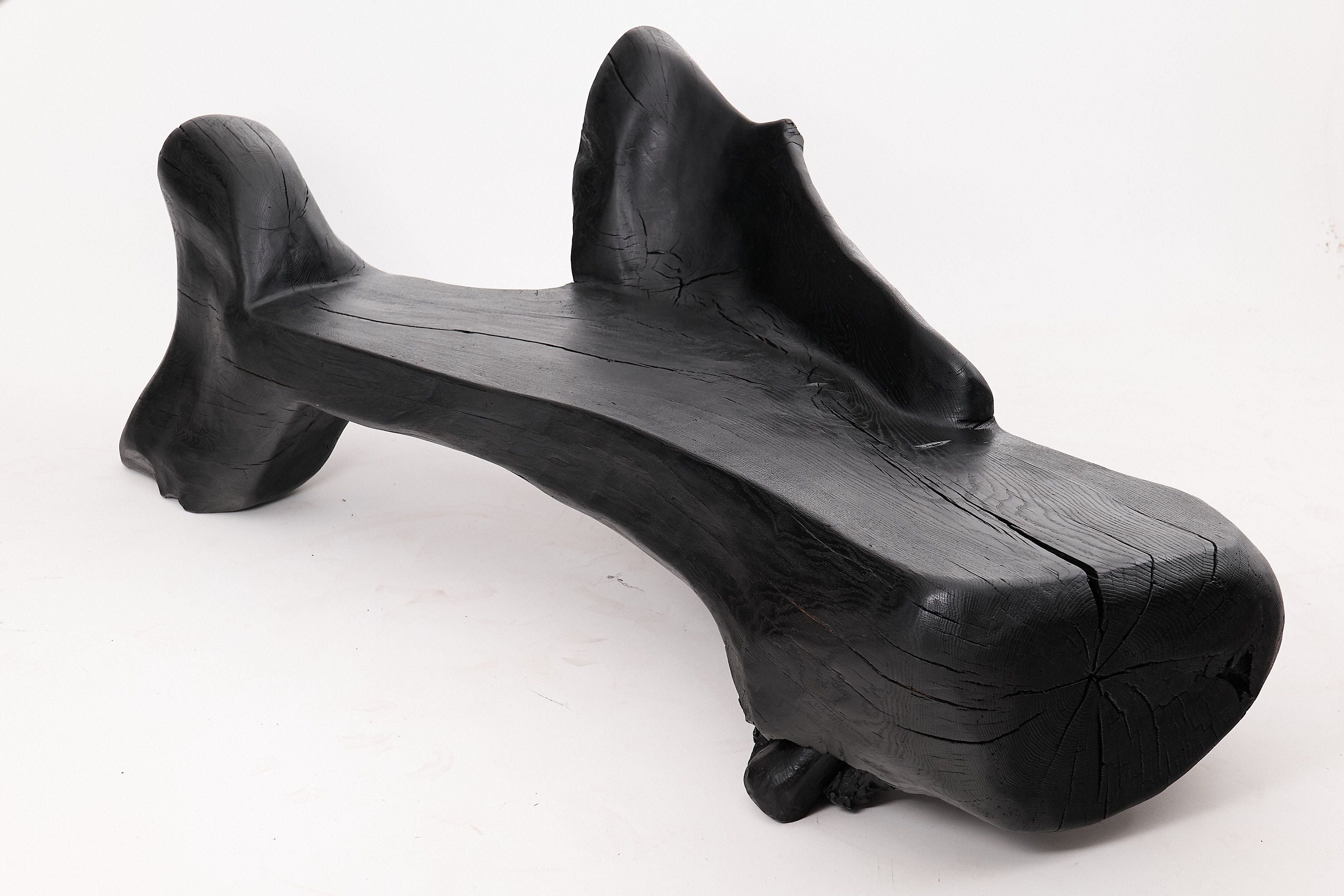 XXL Sculptural Charred Wood Bench in Organic Form, Hand-Carved from Solid Log - image 5