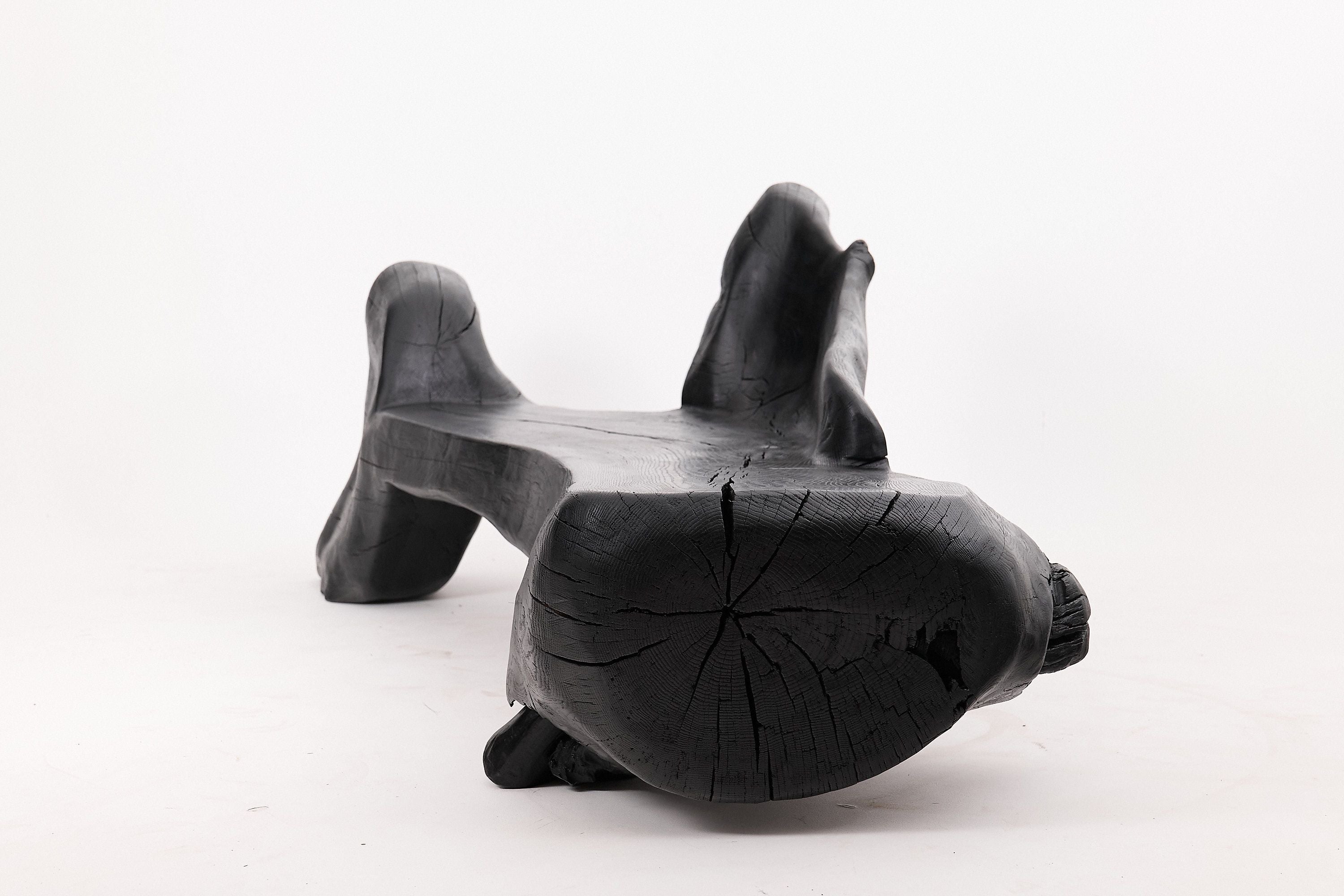 XXL Sculptural Charred Wood Bench in Organic Form, Hand-Carved from Solid Log - image 6