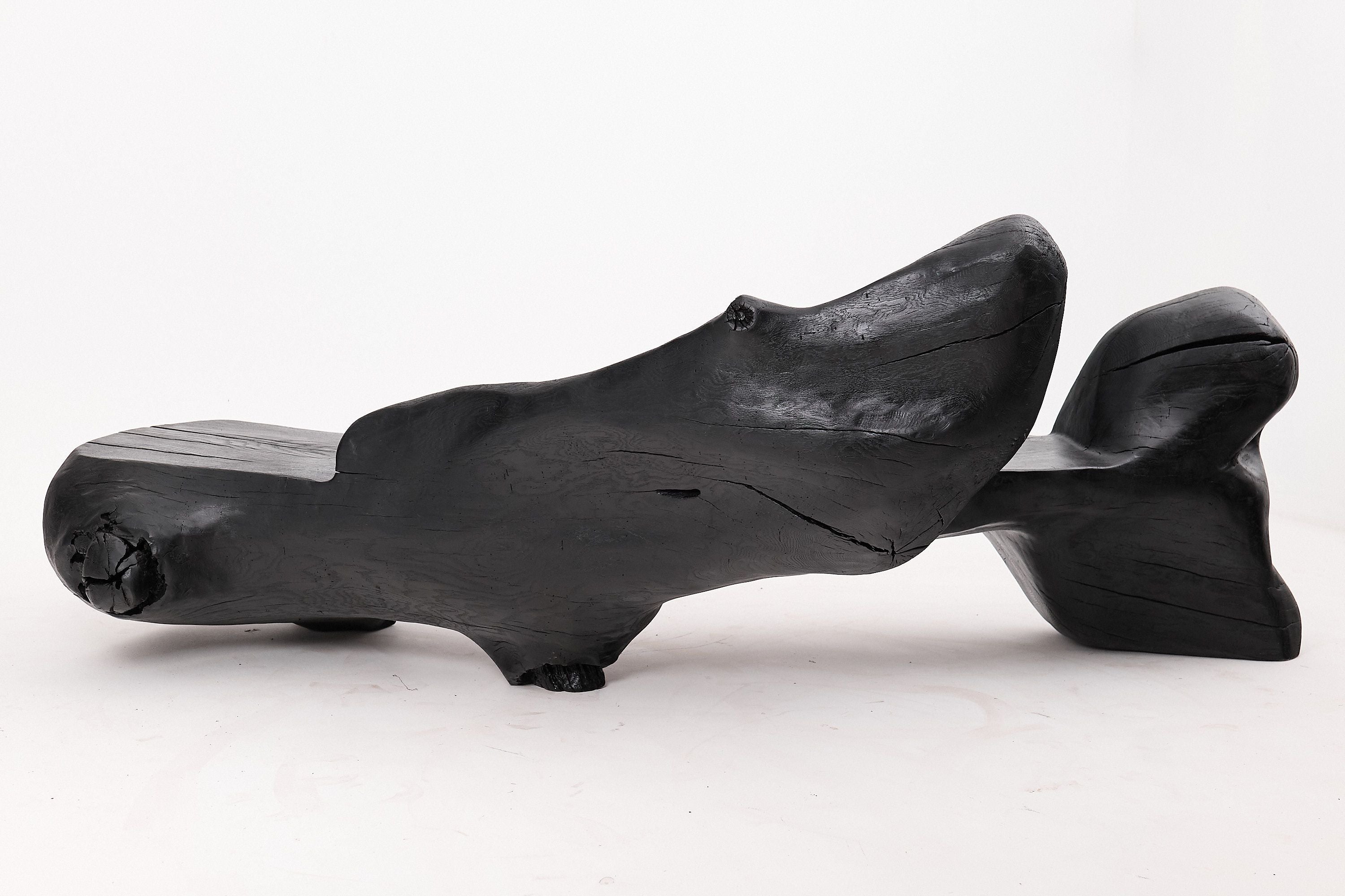 XXL Sculptural Charred Wood Bench in Organic Form, Hand-Carved from Solid Log - image 11