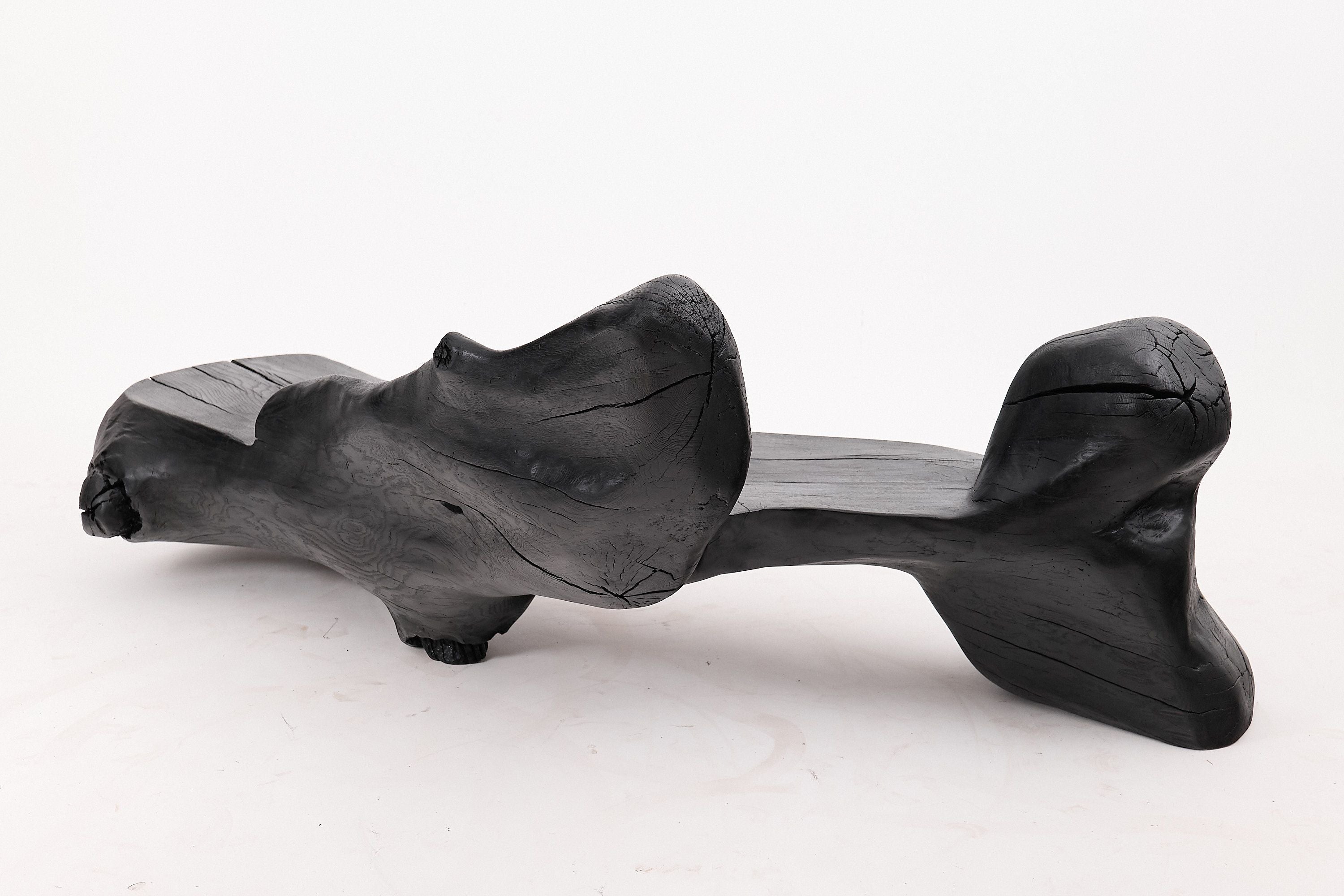 XXL Sculptural Charred Wood Bench in Organic Form, Hand-Carved from Solid Log - image 12