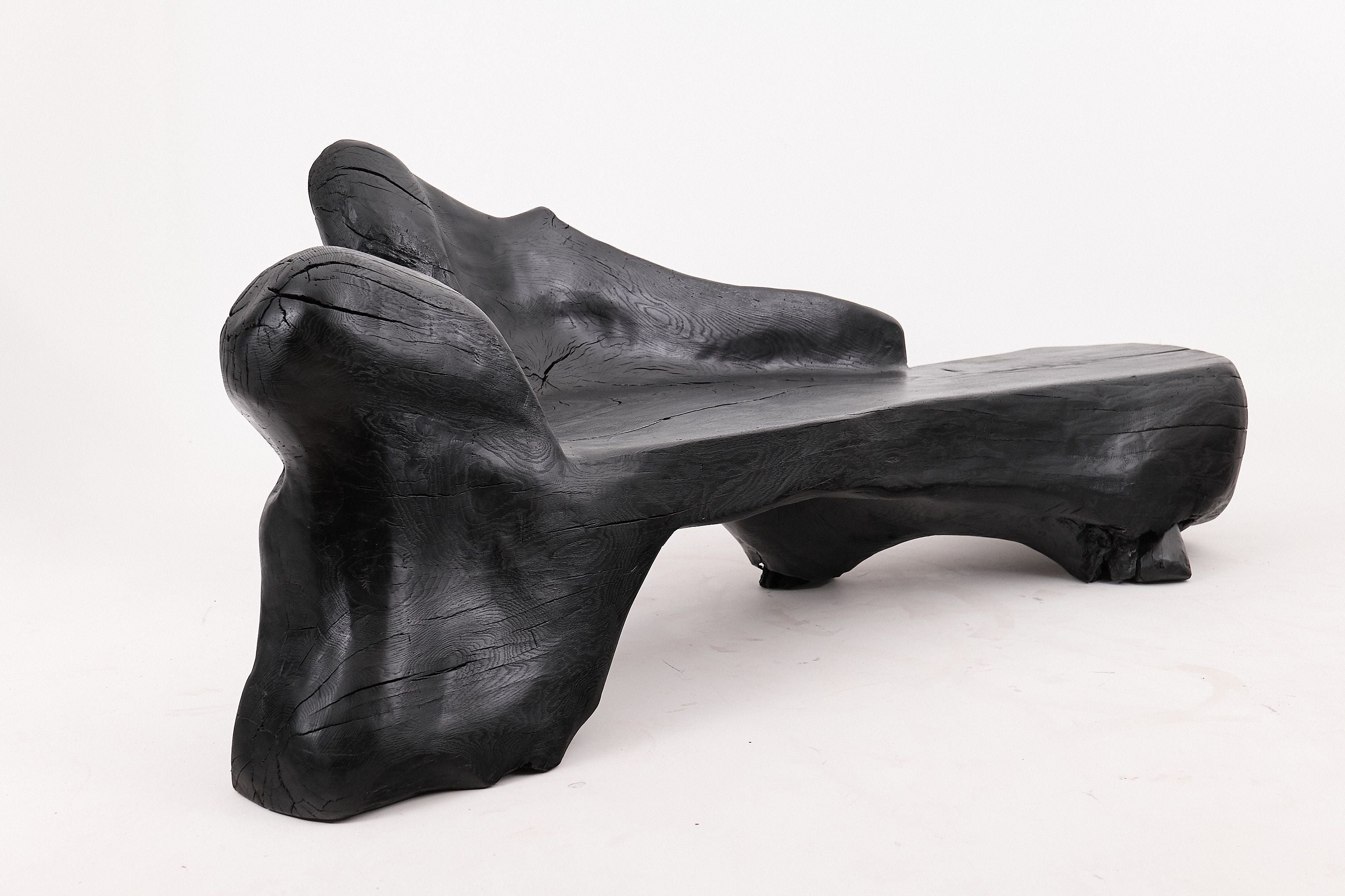 XXL Sculptural Charred Wood Bench in Organic Form, Hand-Carved from Solid Log - image 18