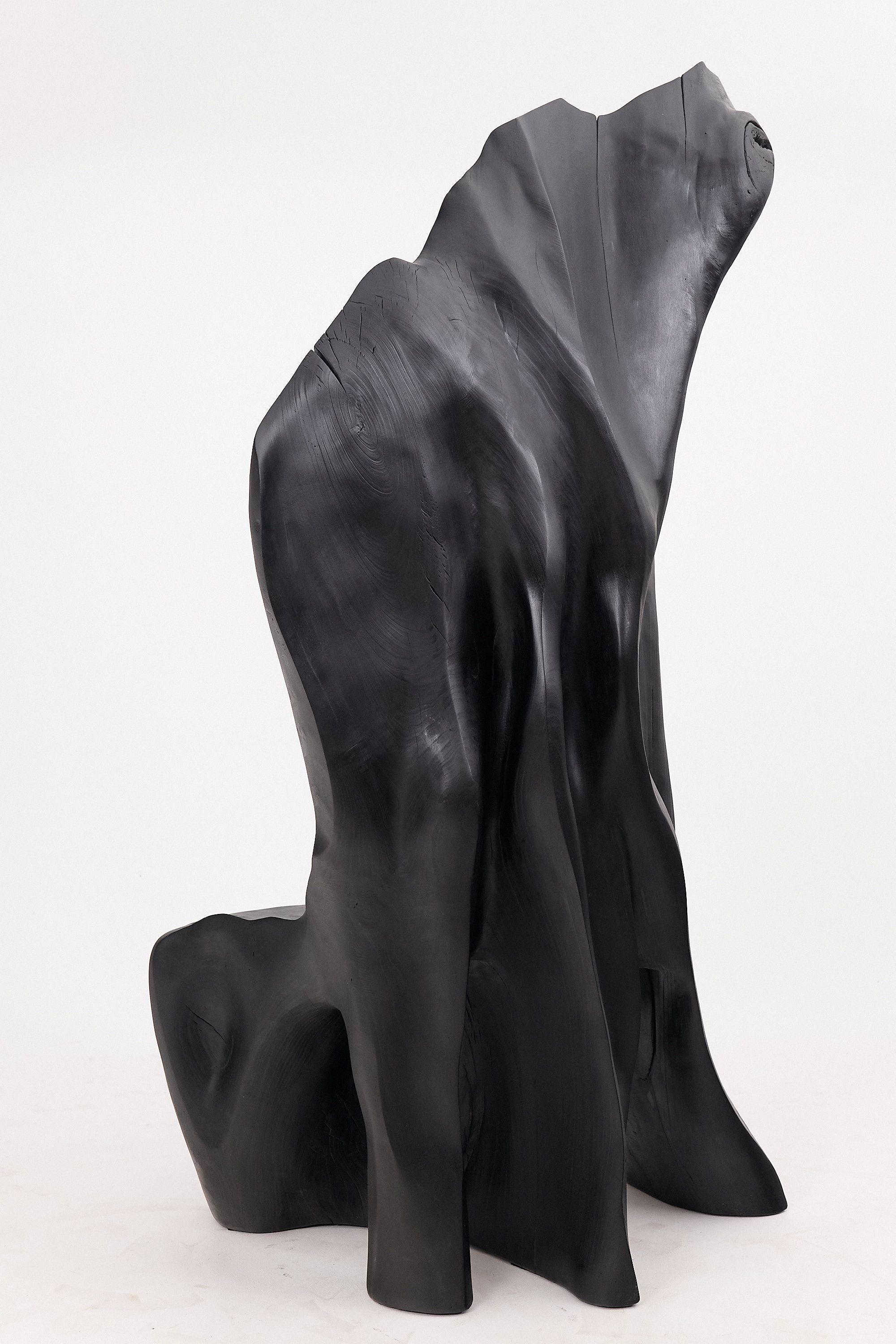 XXL Charred Black Wood Throne Chair in Organic Form by Logniture - image 8