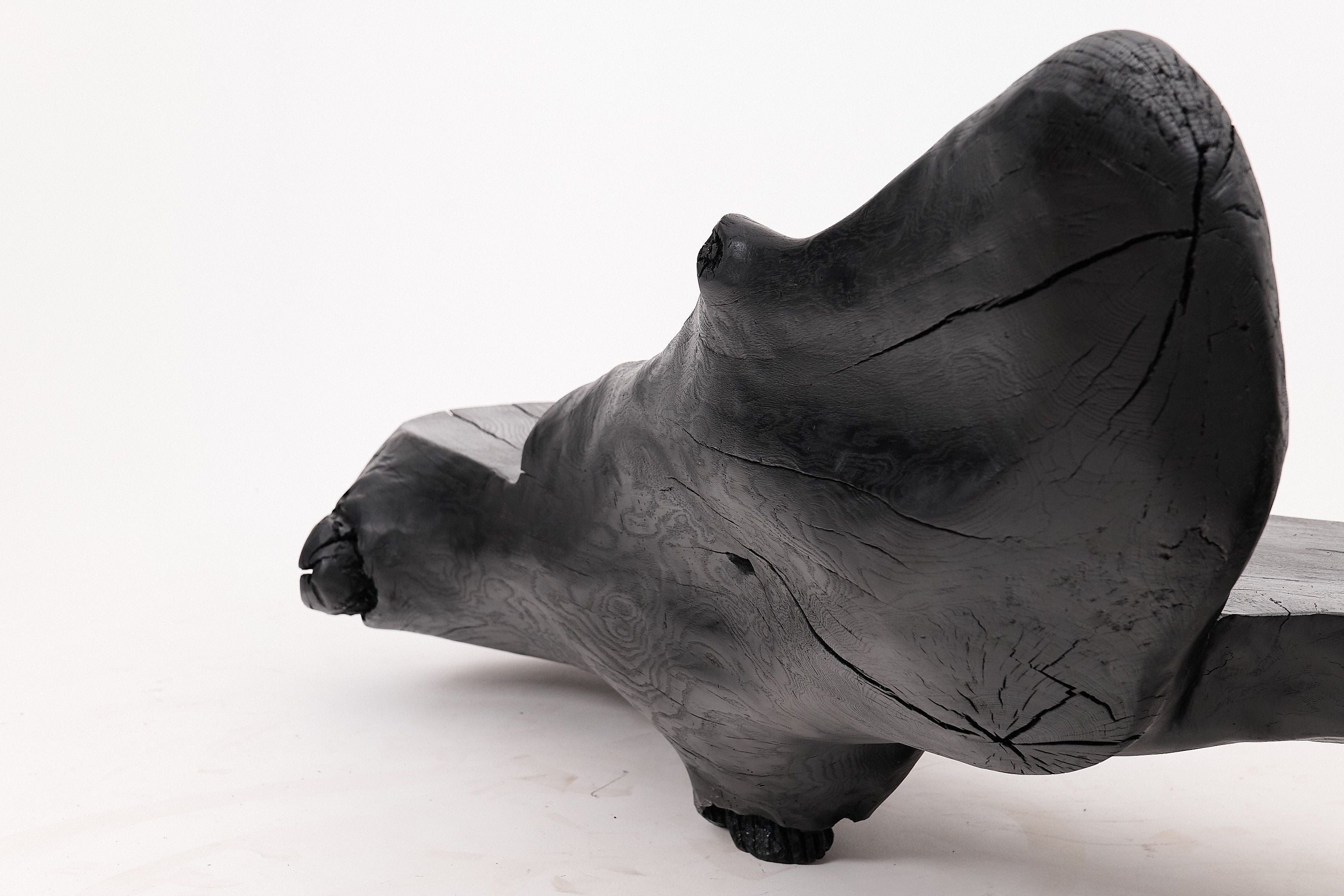 XXL Sculptural Charred Wood Bench in Organic Form, Hand-Carved from Solid Log - image 14