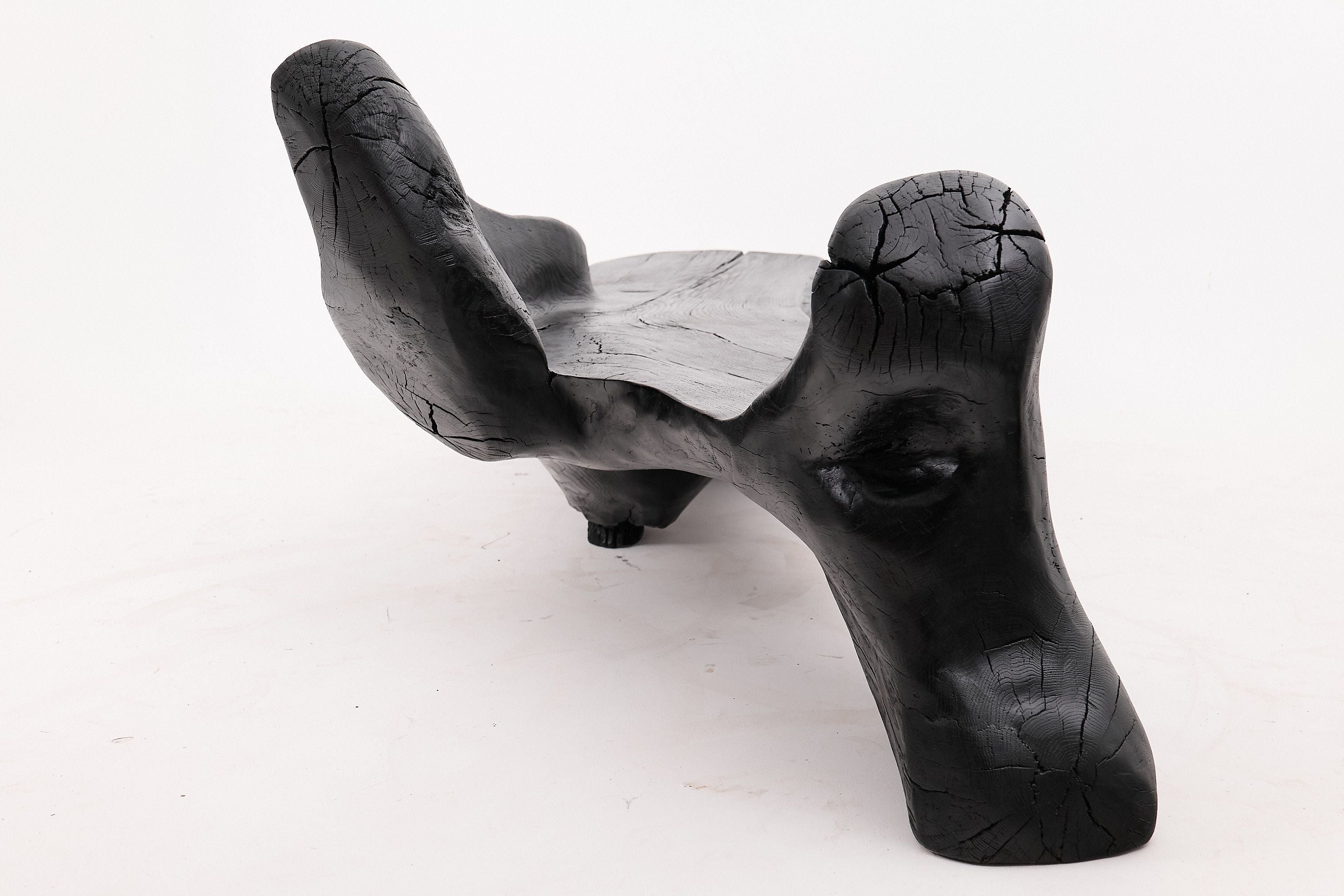 XXL Sculptural Charred Wood Bench in Organic Form, Hand-Carved from Solid Log - image 15