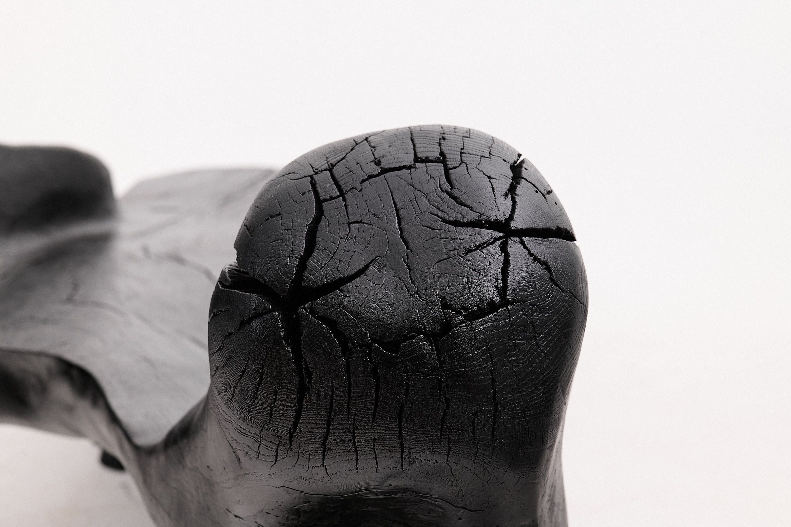 XXL Sculptural Charred Wood Bench in Organic Form, Hand-Carved from Solid Log - image 16