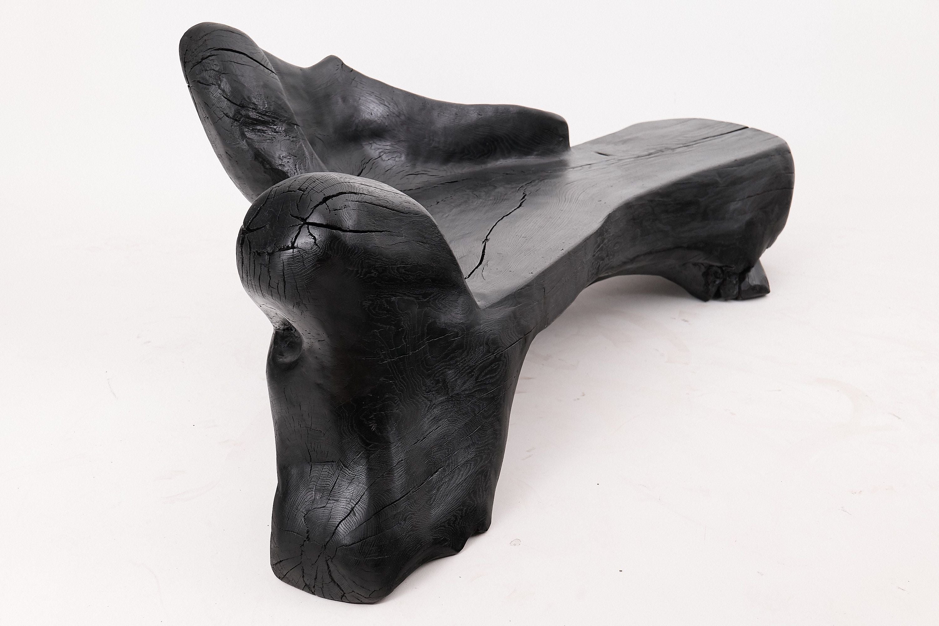 XXL Sculptural Charred Wood Bench in Organic Form, Hand-Carved from Solid Log - image 17