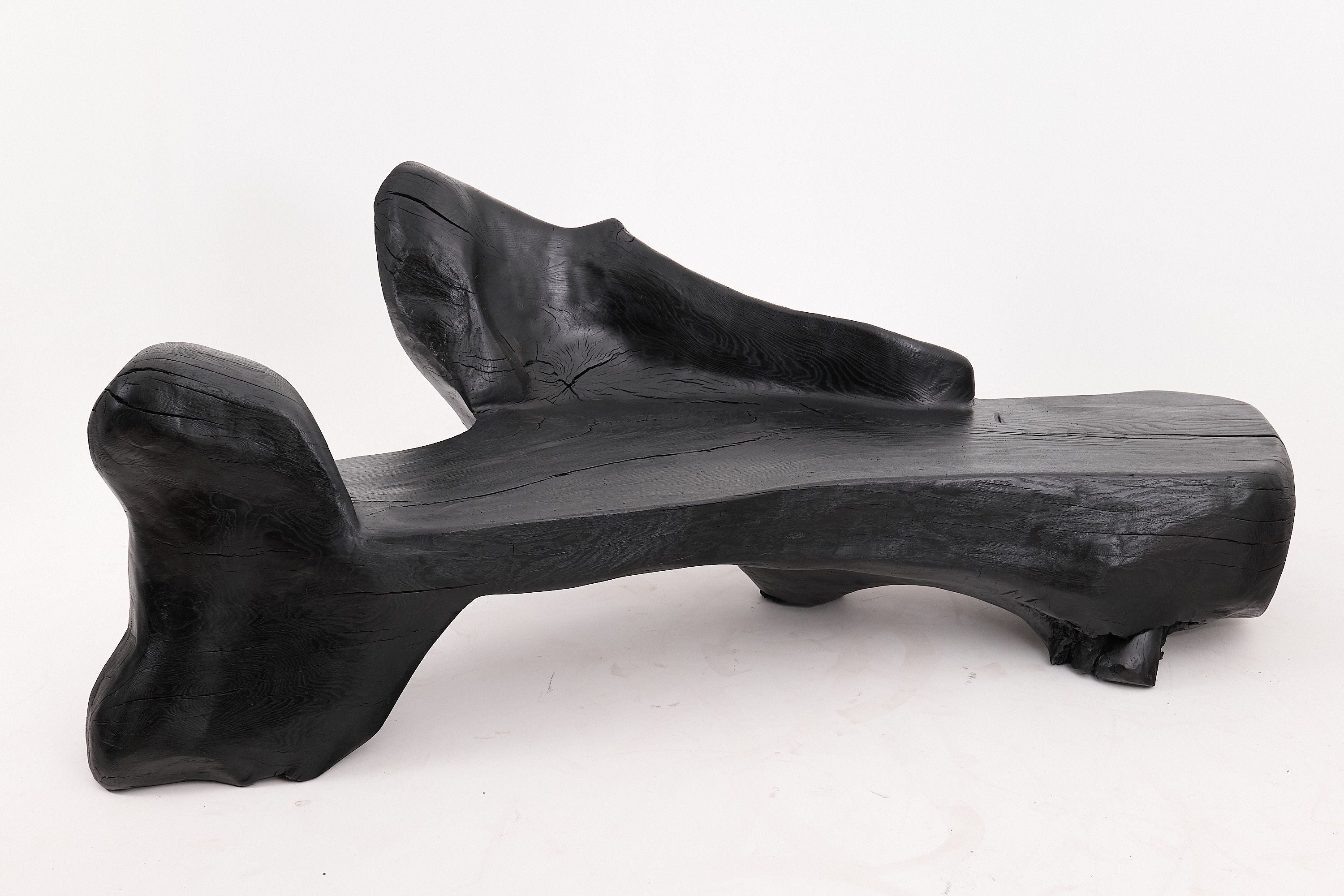 XXL Sculptural Charred Wood Bench in Organic Form, Hand-Carved from Solid Log - image 20