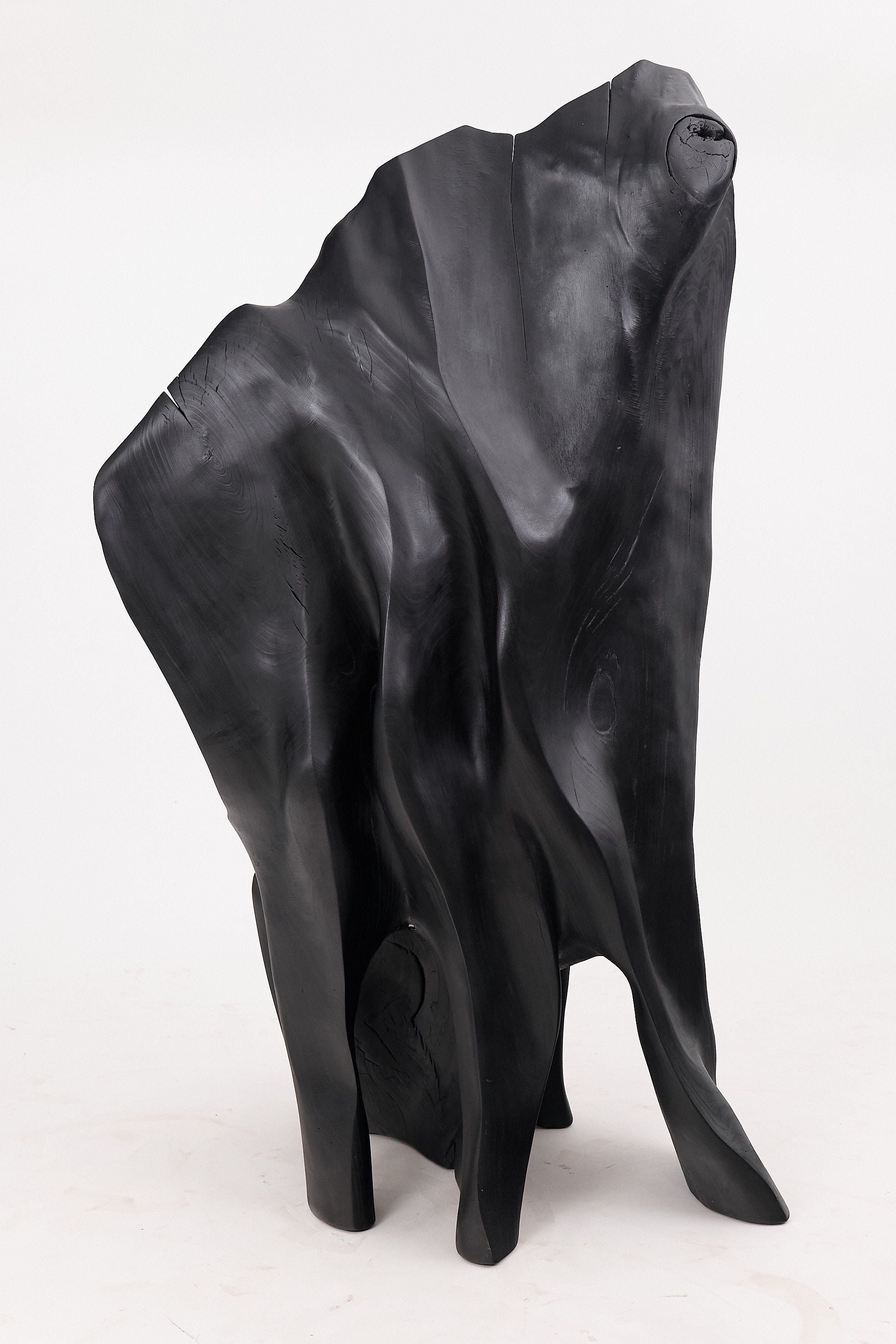 XXL Charred Black Wood Throne Chair in Organic Form by Logniture - image 9