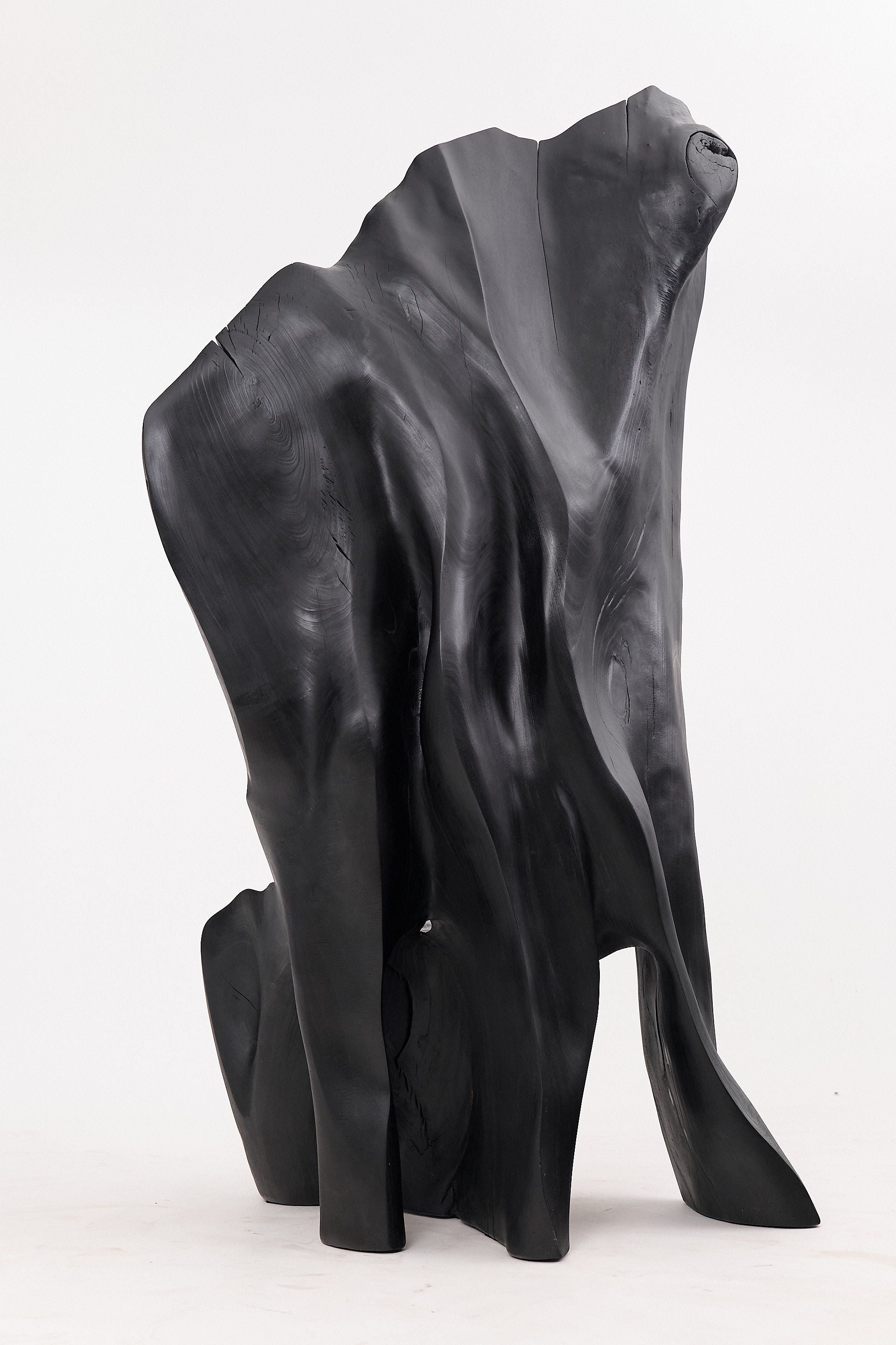 XXL Charred Black Wood Throne Chair in Organic Form by Logniture - image 11