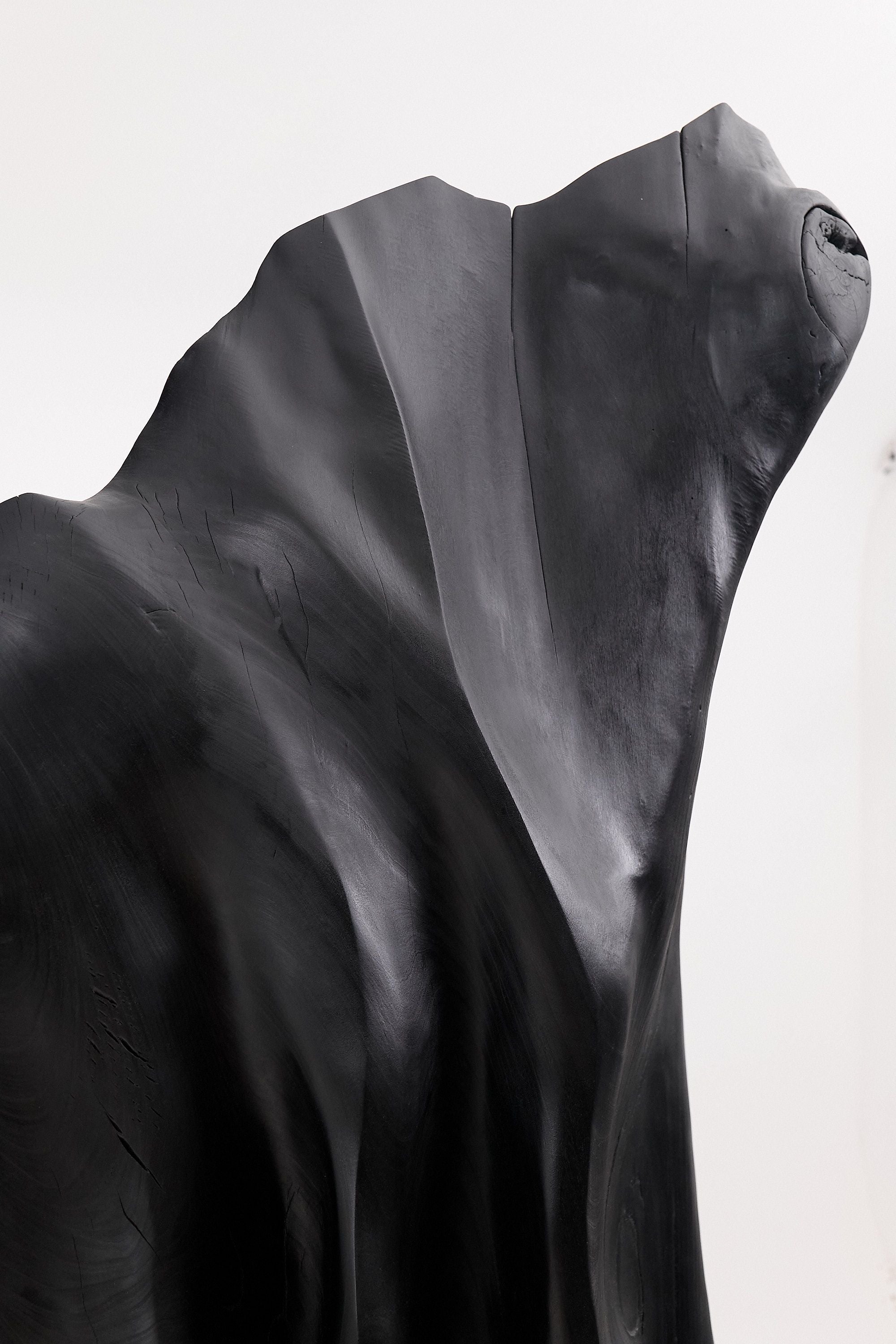 XXL Charred Black Wood Throne Chair in Organic Form by Logniture - image 12