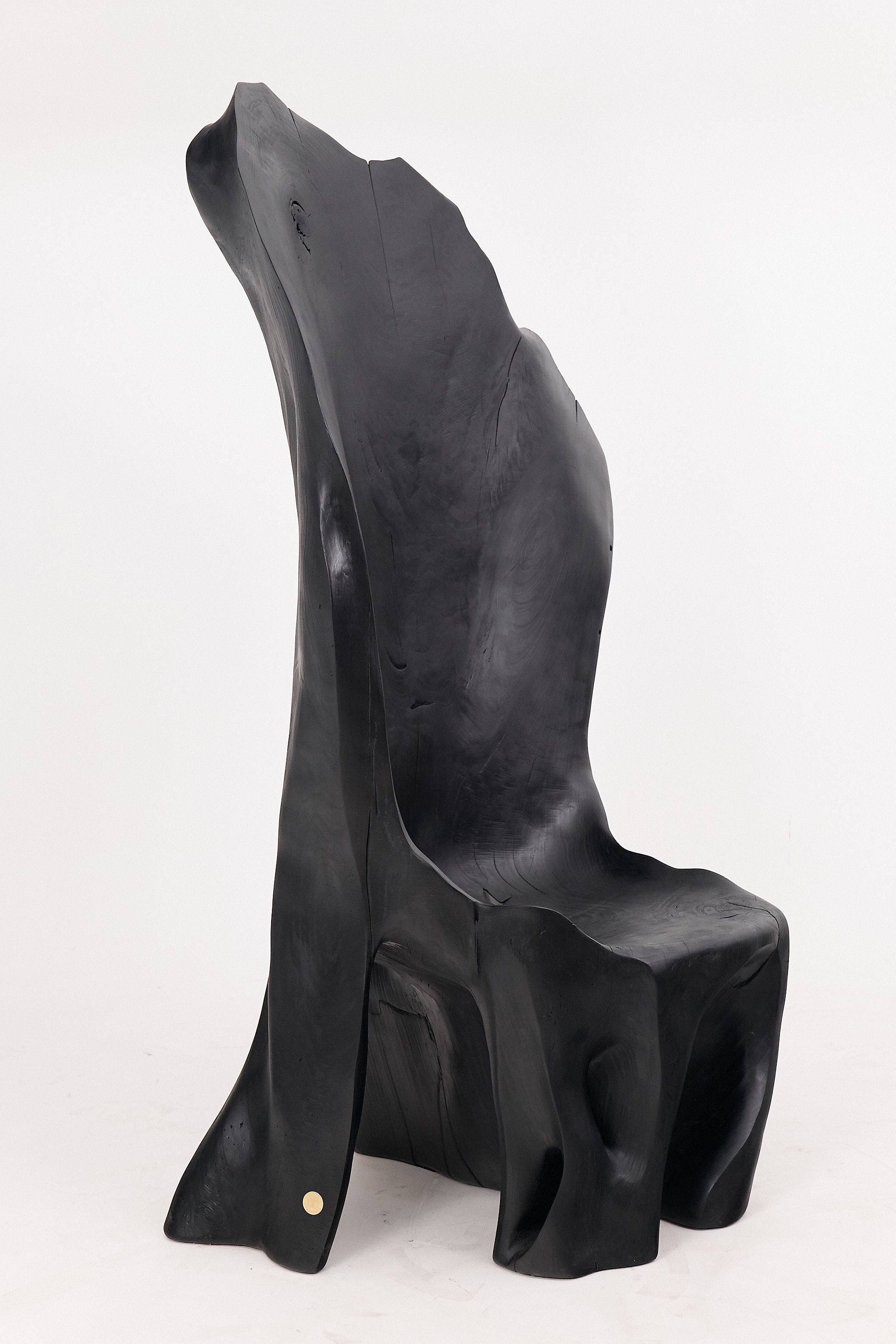 XXL Charred Black Wood Throne Chair in Organic Form by Logniture - image 17