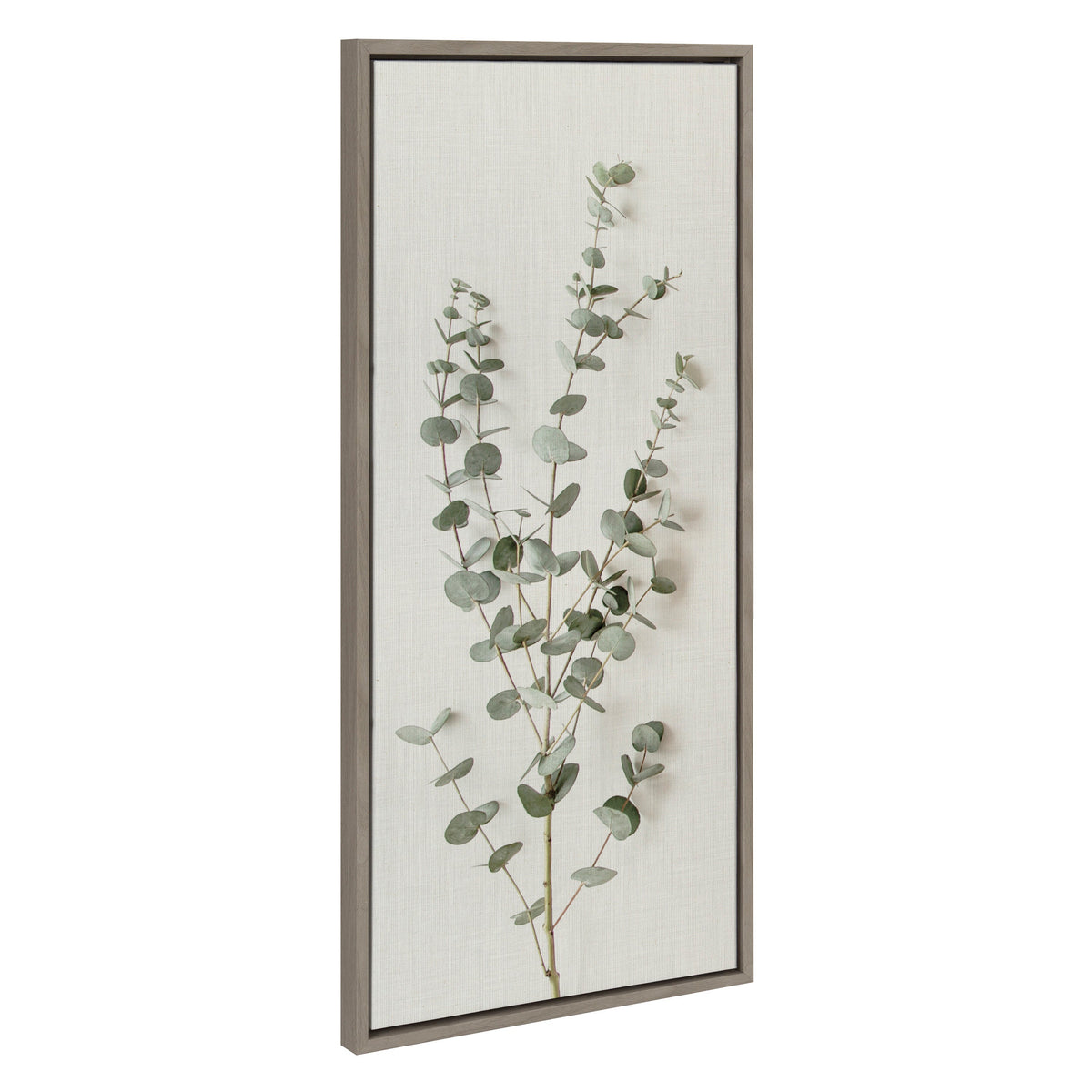 Sylvie Eucalyptus Botanical I Framed Canvas by The Creative Bunch Studio