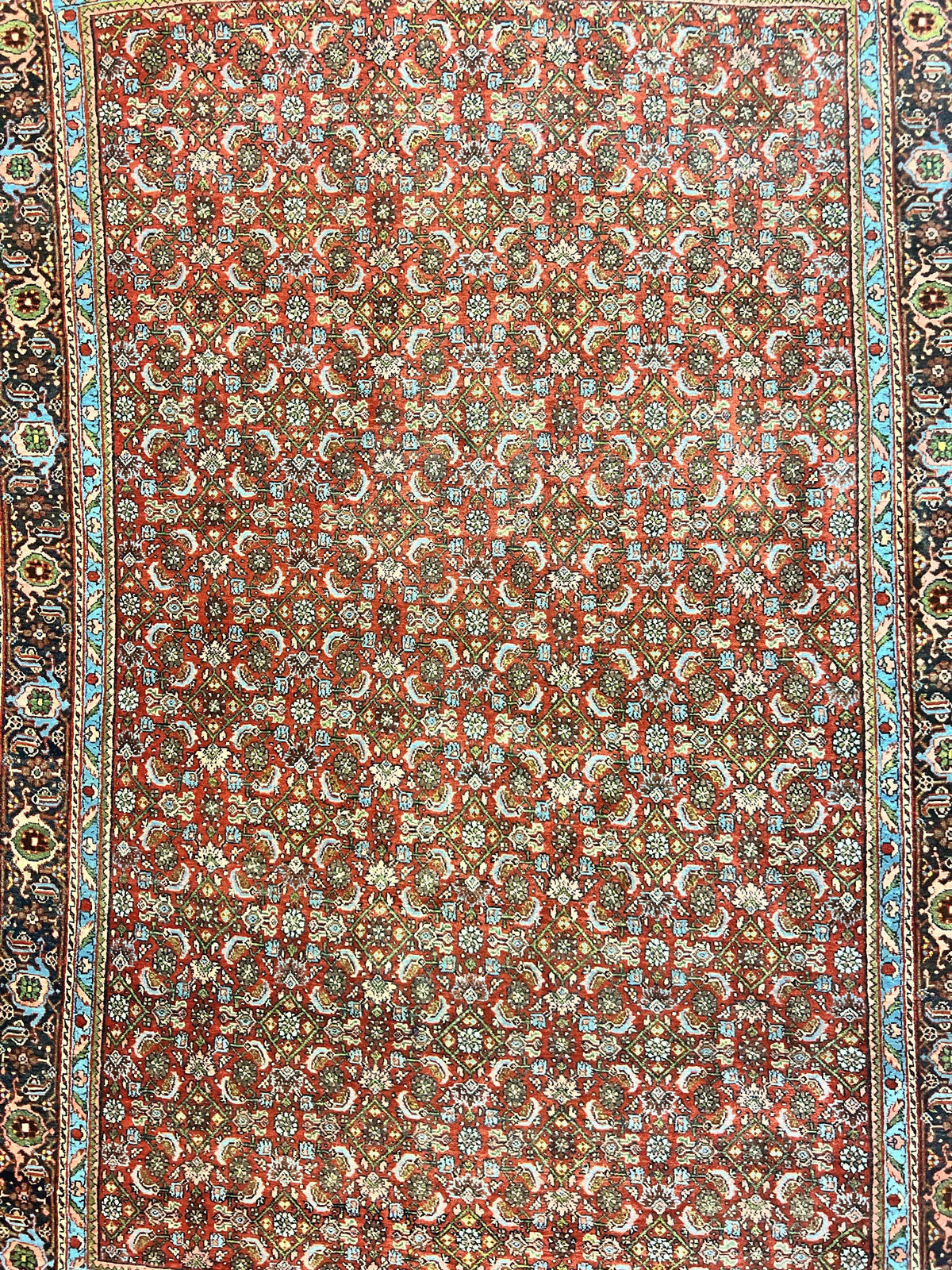Antique Persian Bidjar Rug 5x7, Repeated Allover Herati Pattern, Red, Handmade Wool Carpet - Jewel Rugs, view 4