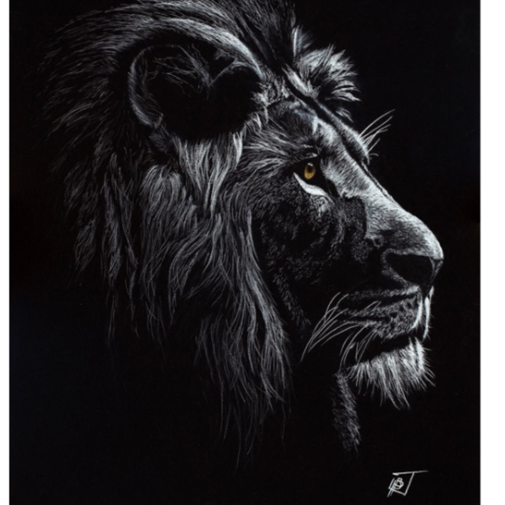 Mane & Mystery image 0