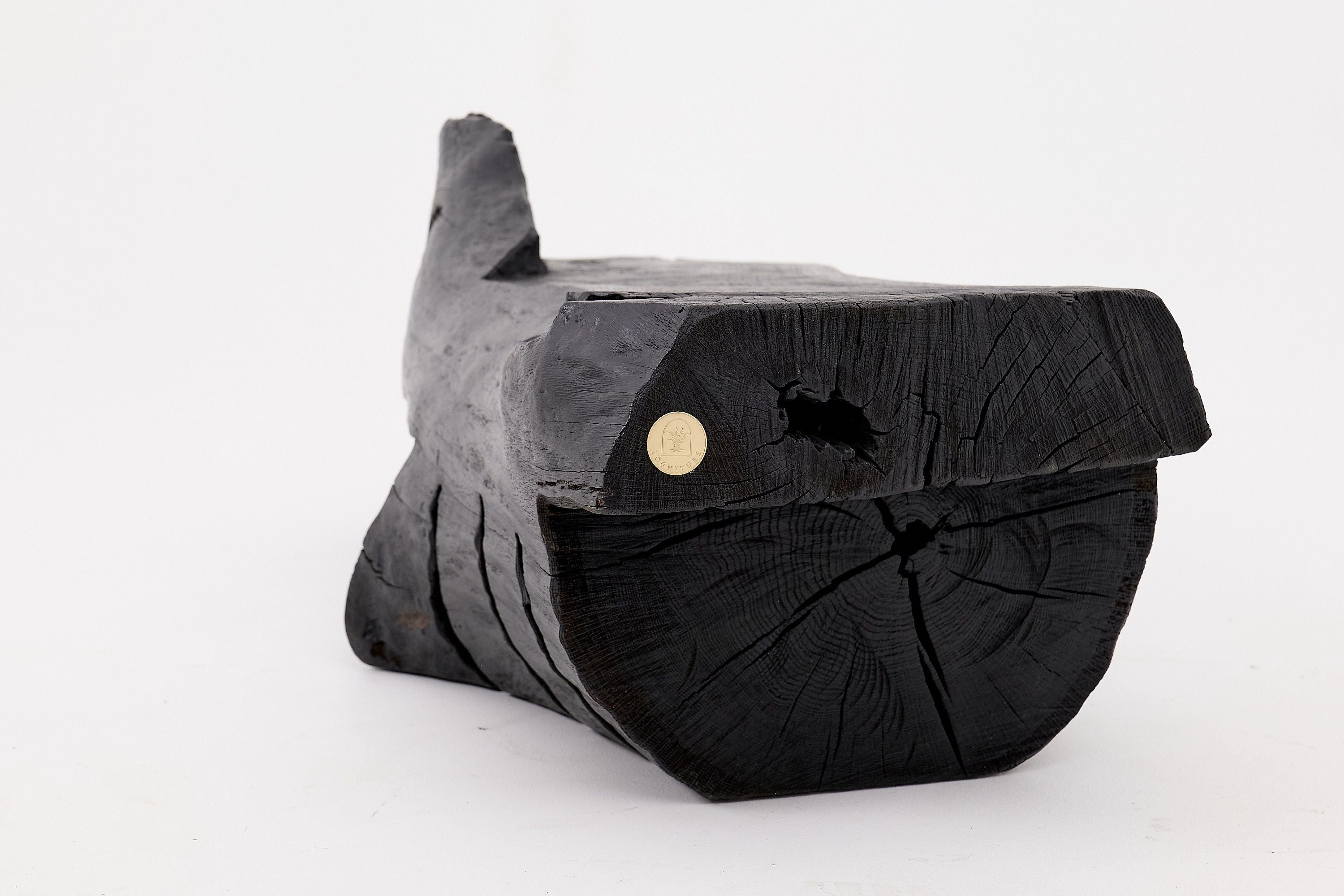 Charred Solid Wood Bench by Logniture