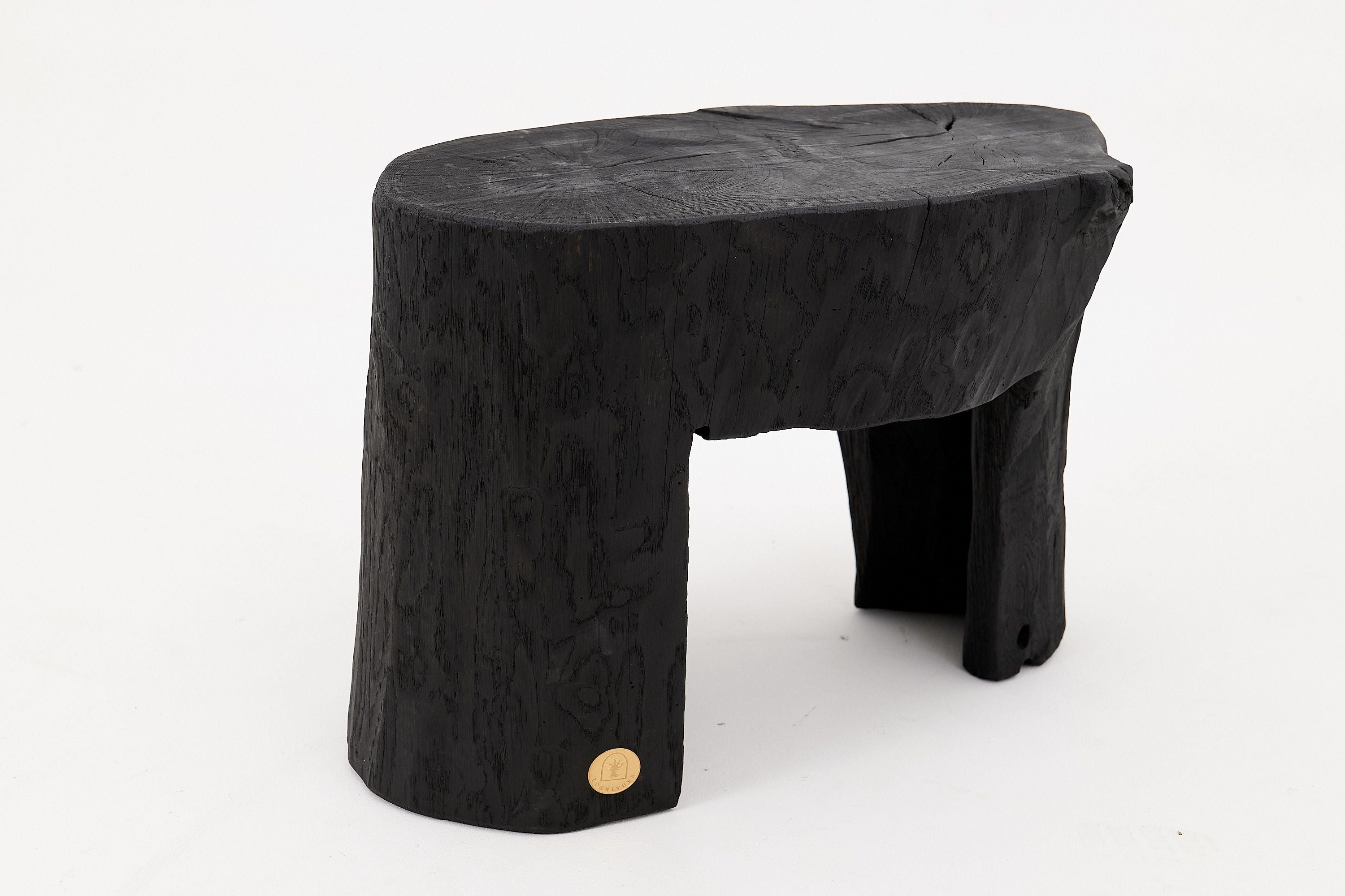 Rustic Sculptural Side Table, Burnt Black Wood, Carved, Unique, Logniture - image 14