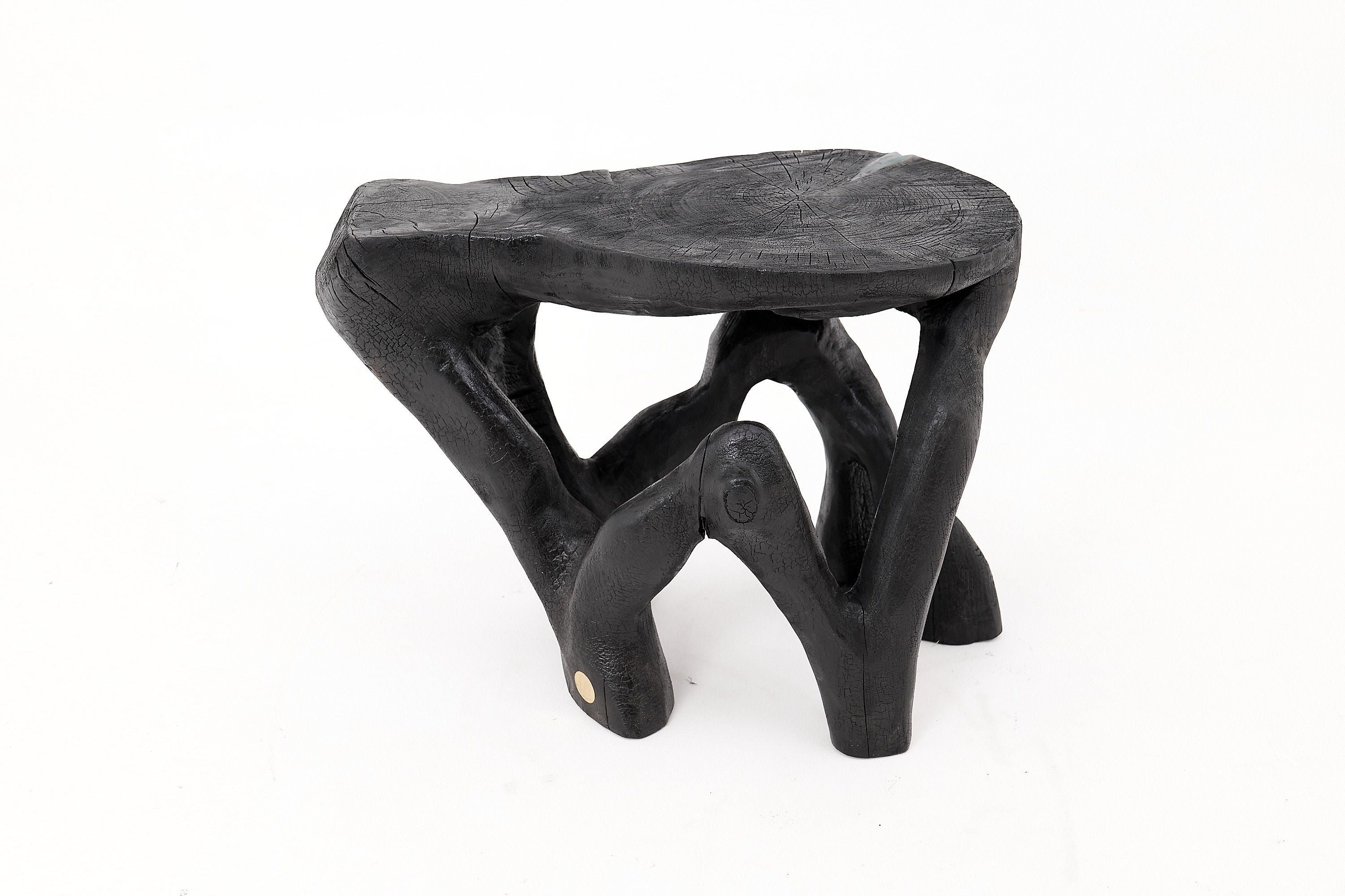 Rustic Sculptural Coffee Table, Burnt Black Wood, Carved, Unique, Logniture - image 2