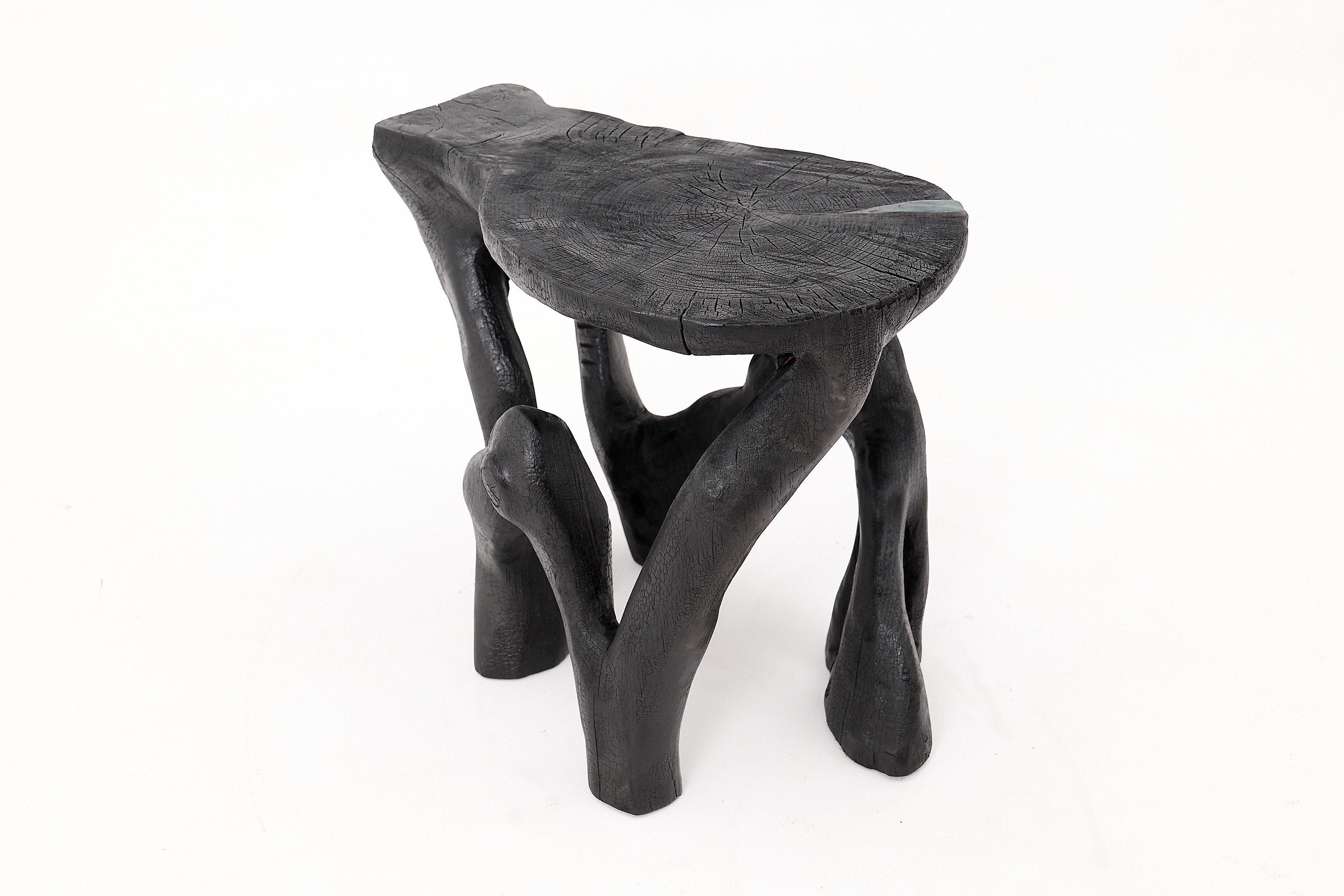 Rustic Sculptural Coffee Table, Burnt Black Wood, Carved, Unique, Logniture - image 8