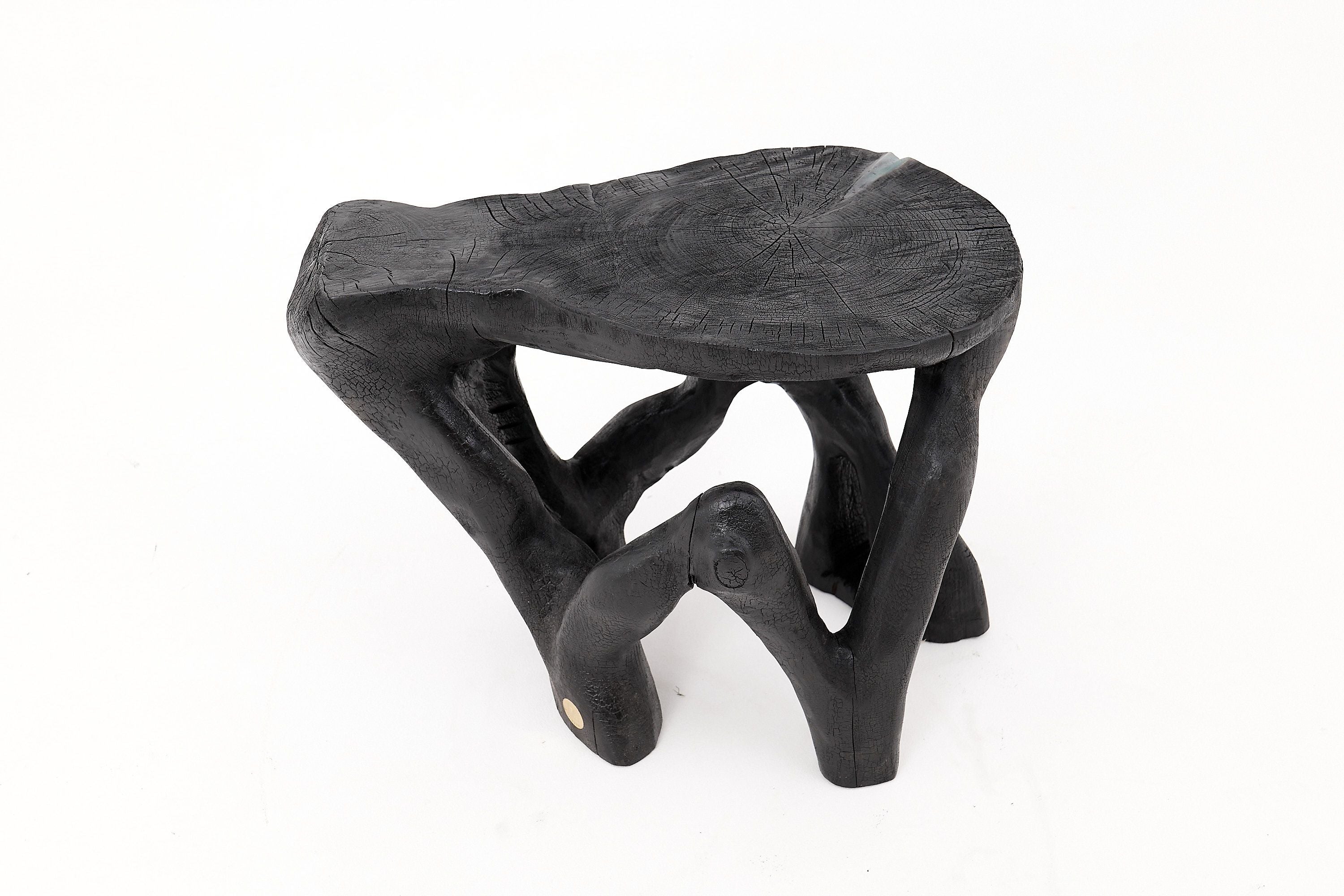 Rustic Sculptural Coffee Table, Burnt Black Wood, Carved, Unique, Logniture - image 3