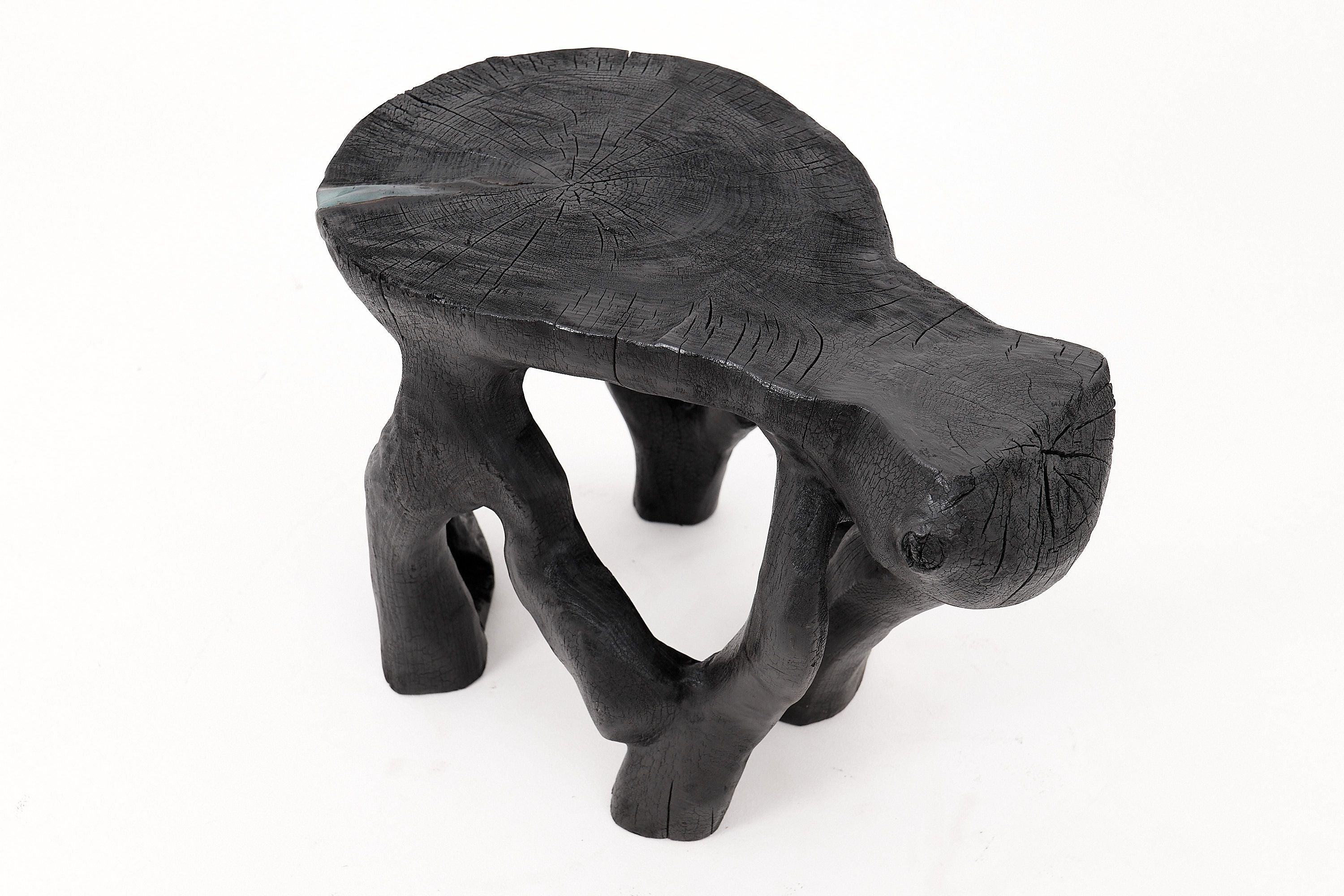 Rustic Sculptural Coffee Table, Burnt Black Wood, Carved, Unique, Logniture - image 15