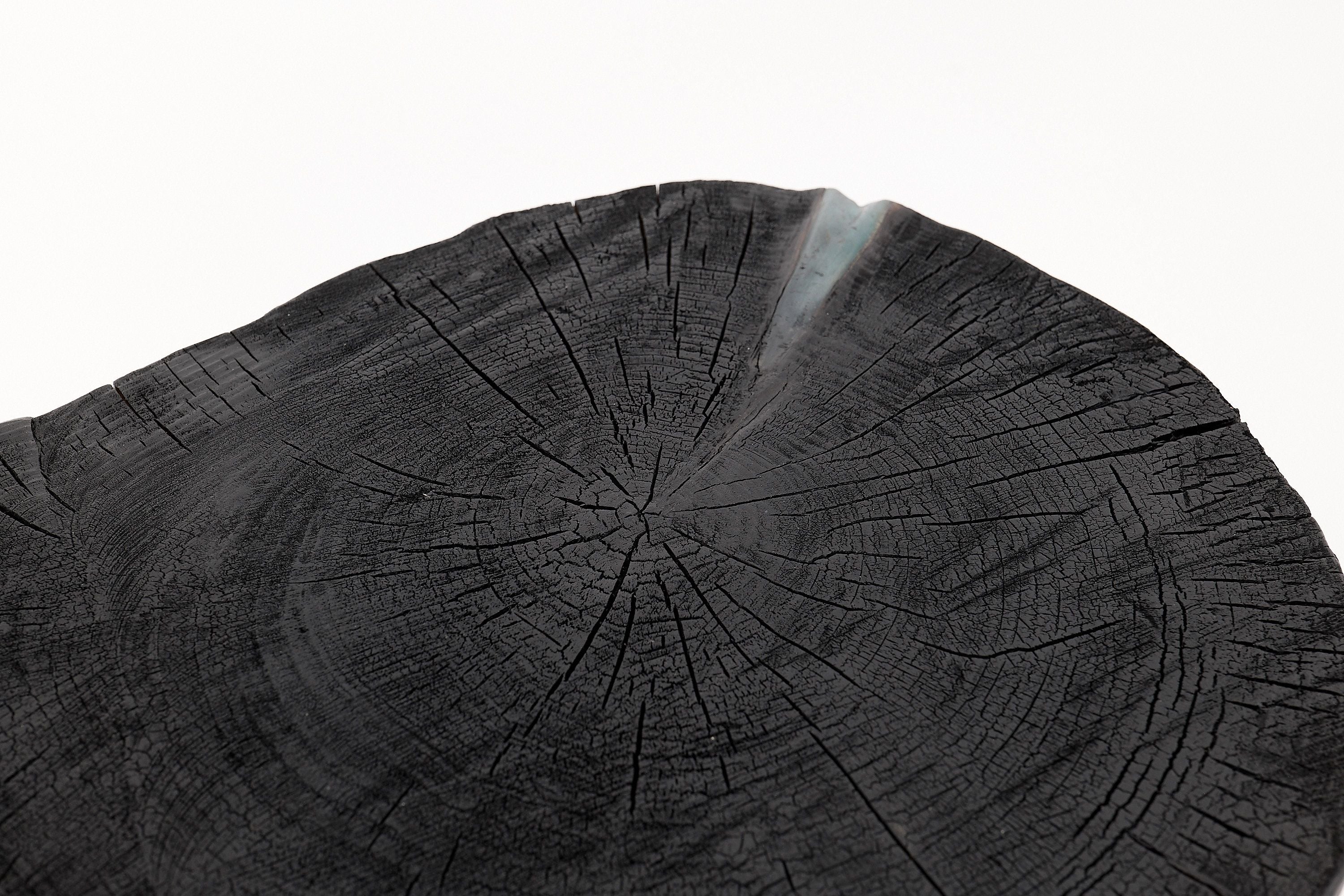 Rustic Sculptural Coffee Table, Burnt Black Wood, Carved, Unique, Logniture - image 6