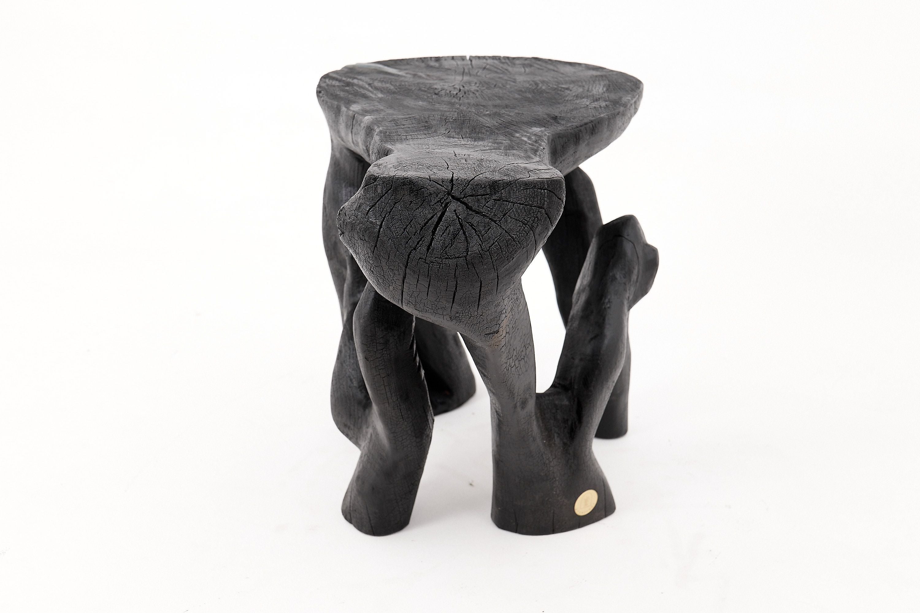 Rustic Sculptural Coffee Table, Burnt Black Wood, Carved, Unique, Logniture - image 16