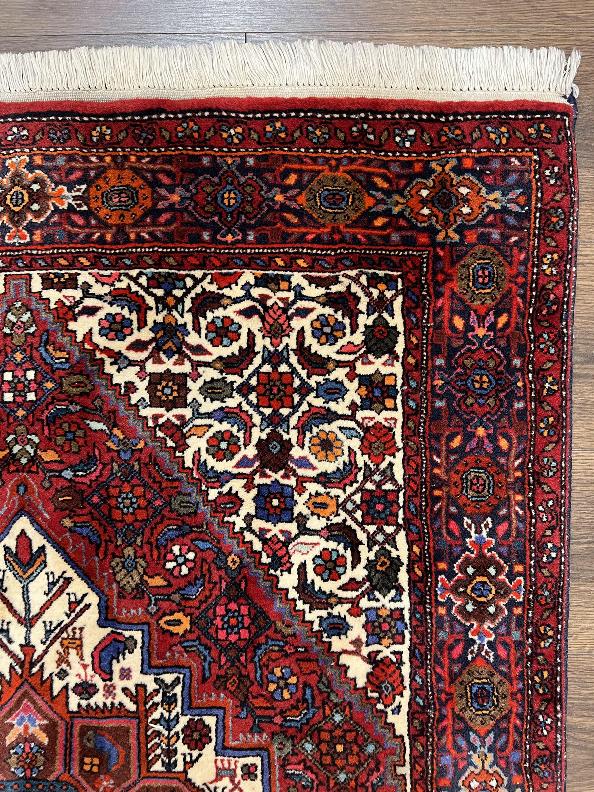 Fine Persian Bidjar Rug 3x5, Geometric Medallion Oriental Bijar Carpet 3 x 5 ft, Ruby Red and Cream, Hand Knotted Wool Rug, Semi Antique Tribal Rug, Nice - Jewel Rugs, view 8