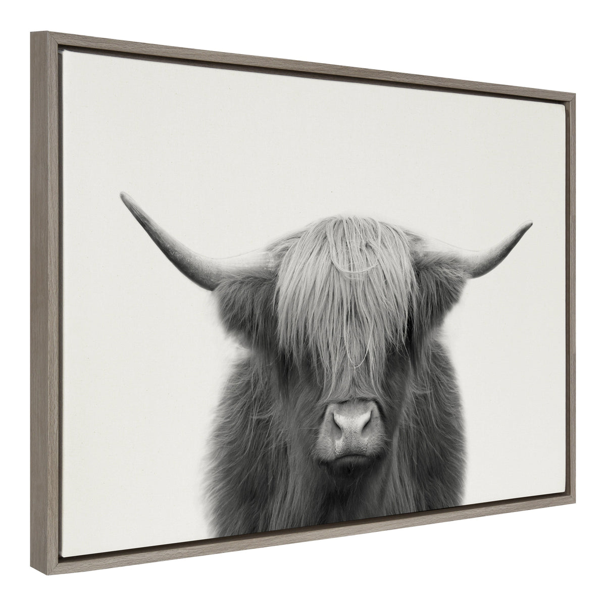Sylvie Hey Dude Highland Cow Framed Linen Canvas by The Creative Bunch Studio
