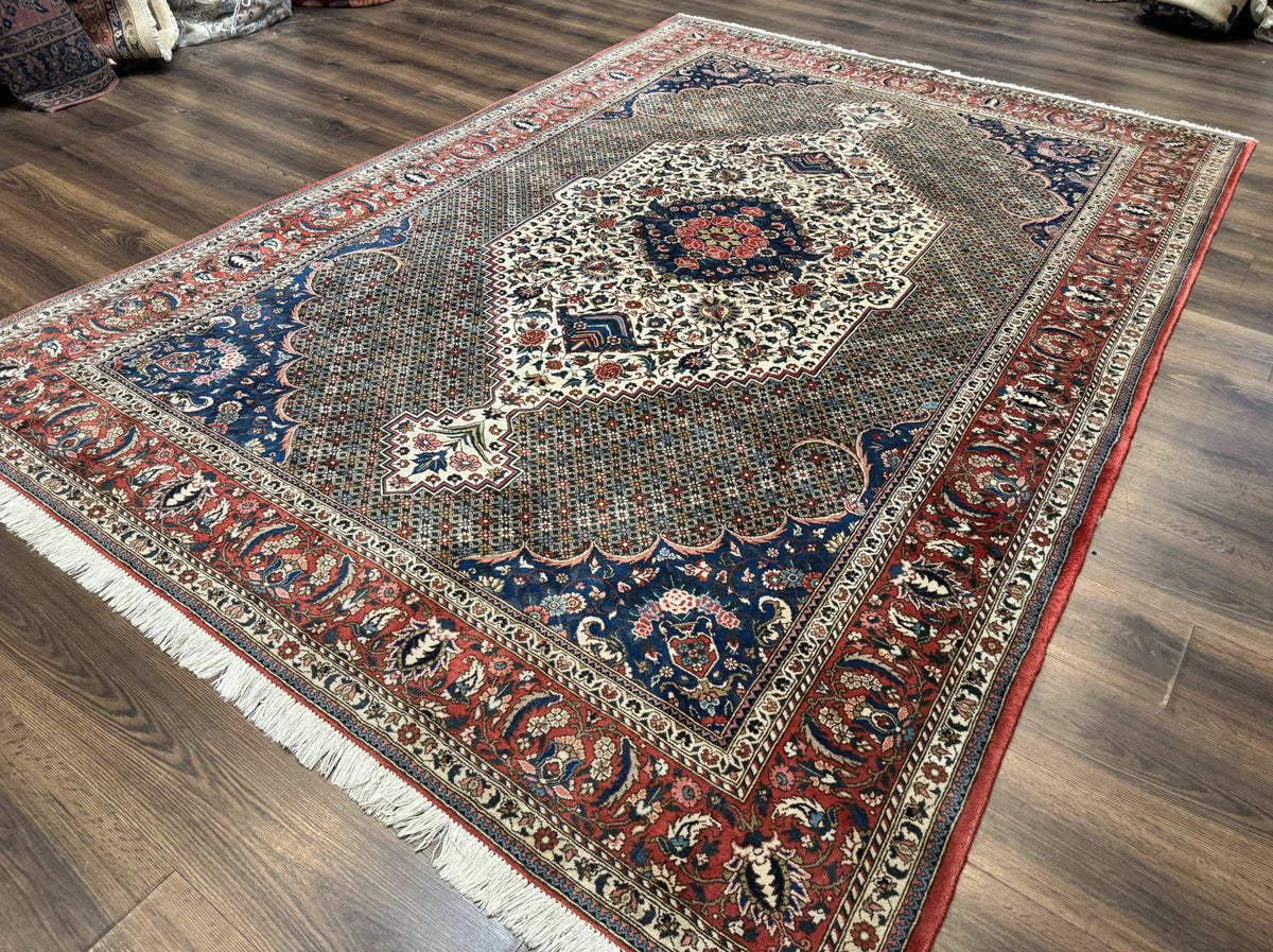 Persian Rug 7x10, Bakhtiari Saman Rug, Unique Design and Colors, Ivory Red Blue, Large Tribal Rug - Jewel Rugs, view 13