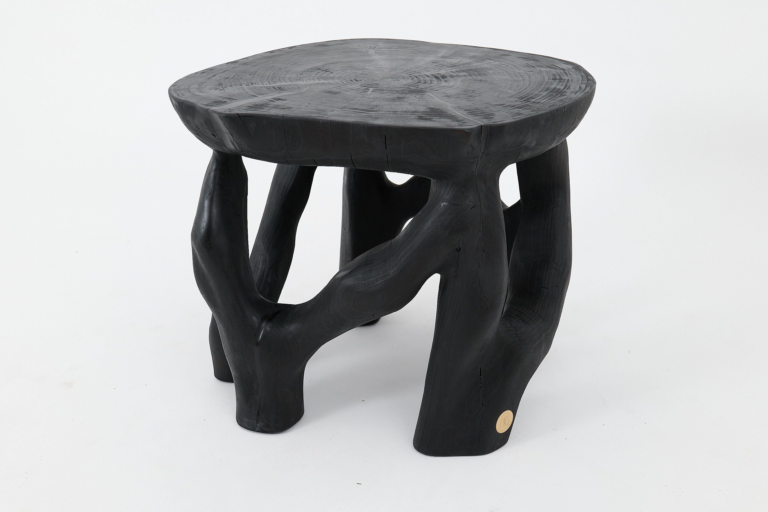 Sculptural Coffee Table, Solid Wood, Contemporary Design, Handmade - image 6