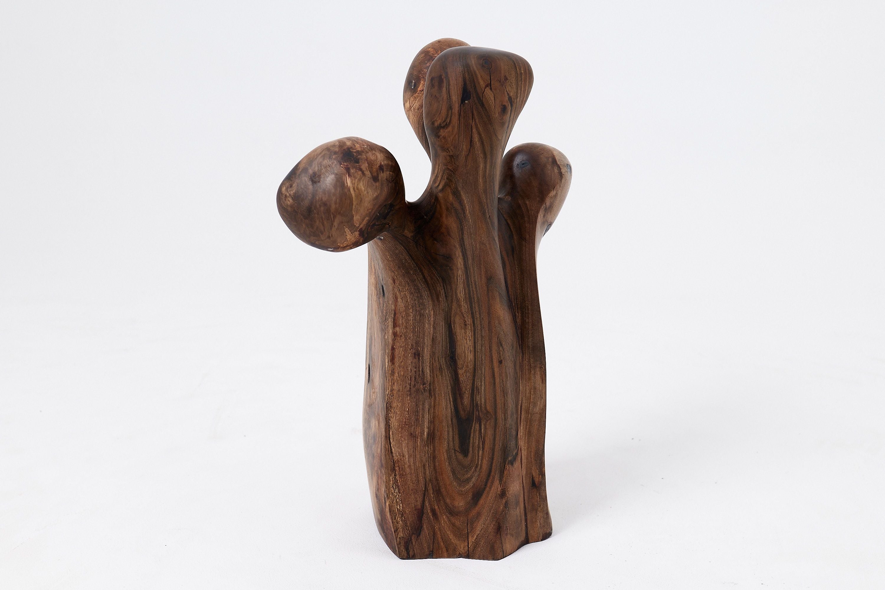 Still Stand Abstract Wood Sculpture, Chainsaw Carved, Walnut - image 6