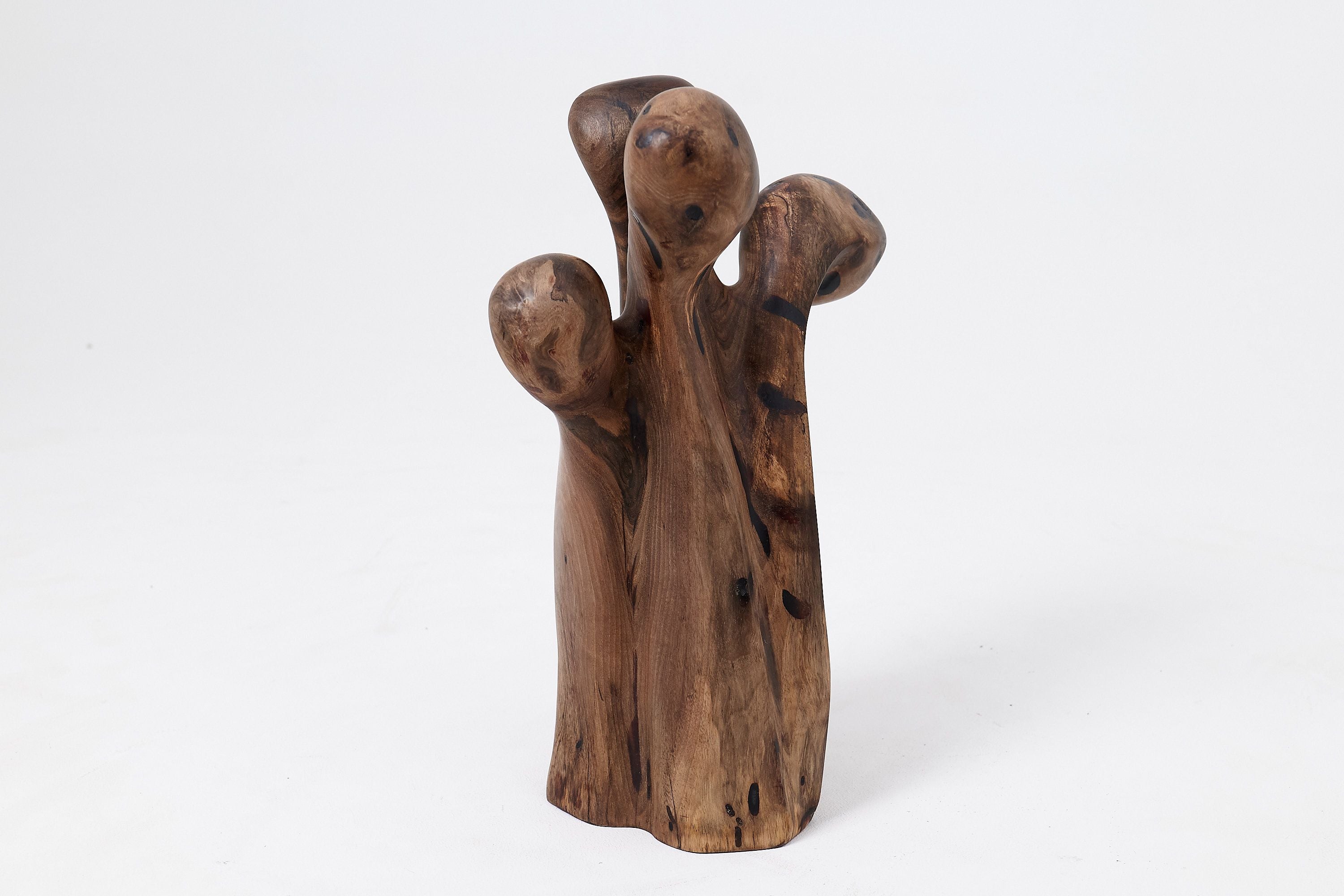 Still Stand Abstract Wood Sculpture, Chainsaw Carved, Walnut - image 12