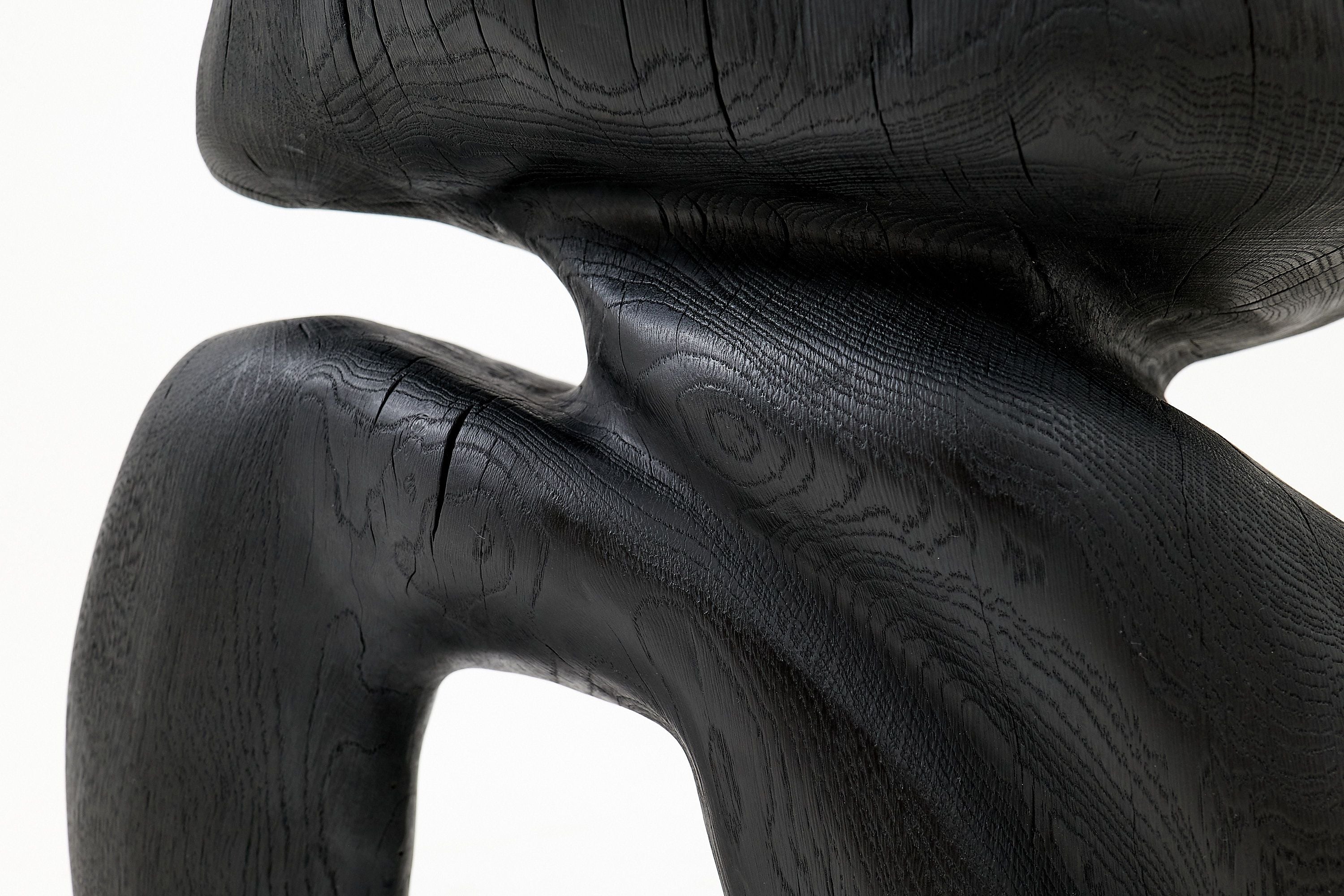 Sculptural Hardwood Stool, Side Table, Charred Wood, Hand-Carved - image 5
