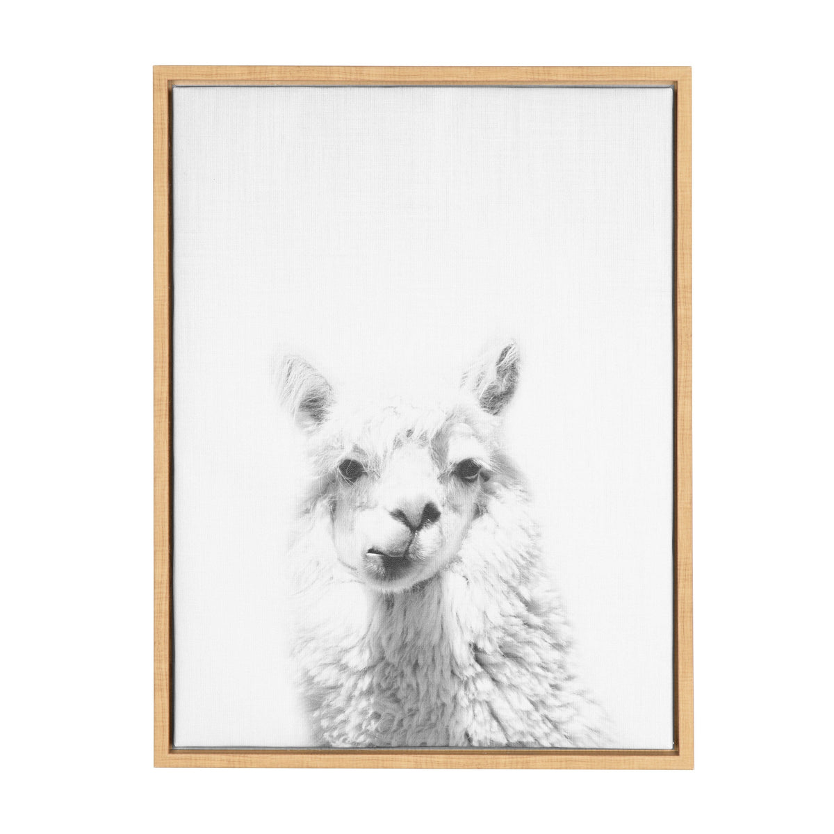 Sylvie Alpaca Framed Canvas by Simon Te of Tai Prints