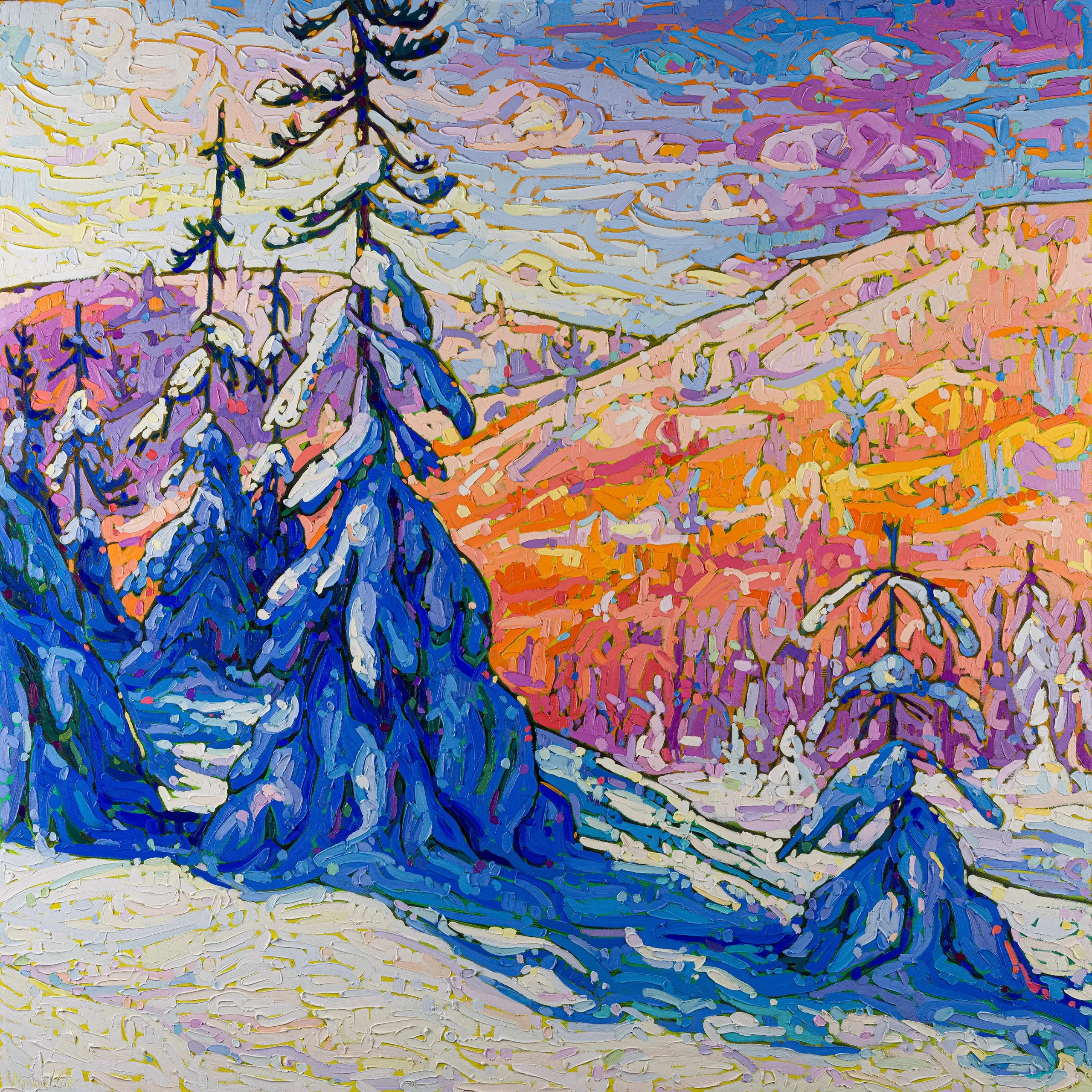 Winter Sunshine image 0