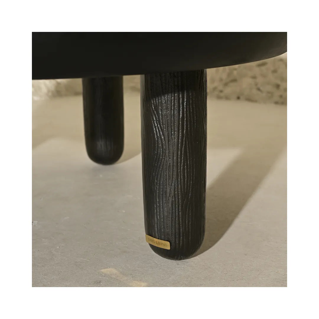 Manjari Coffee Table image 4