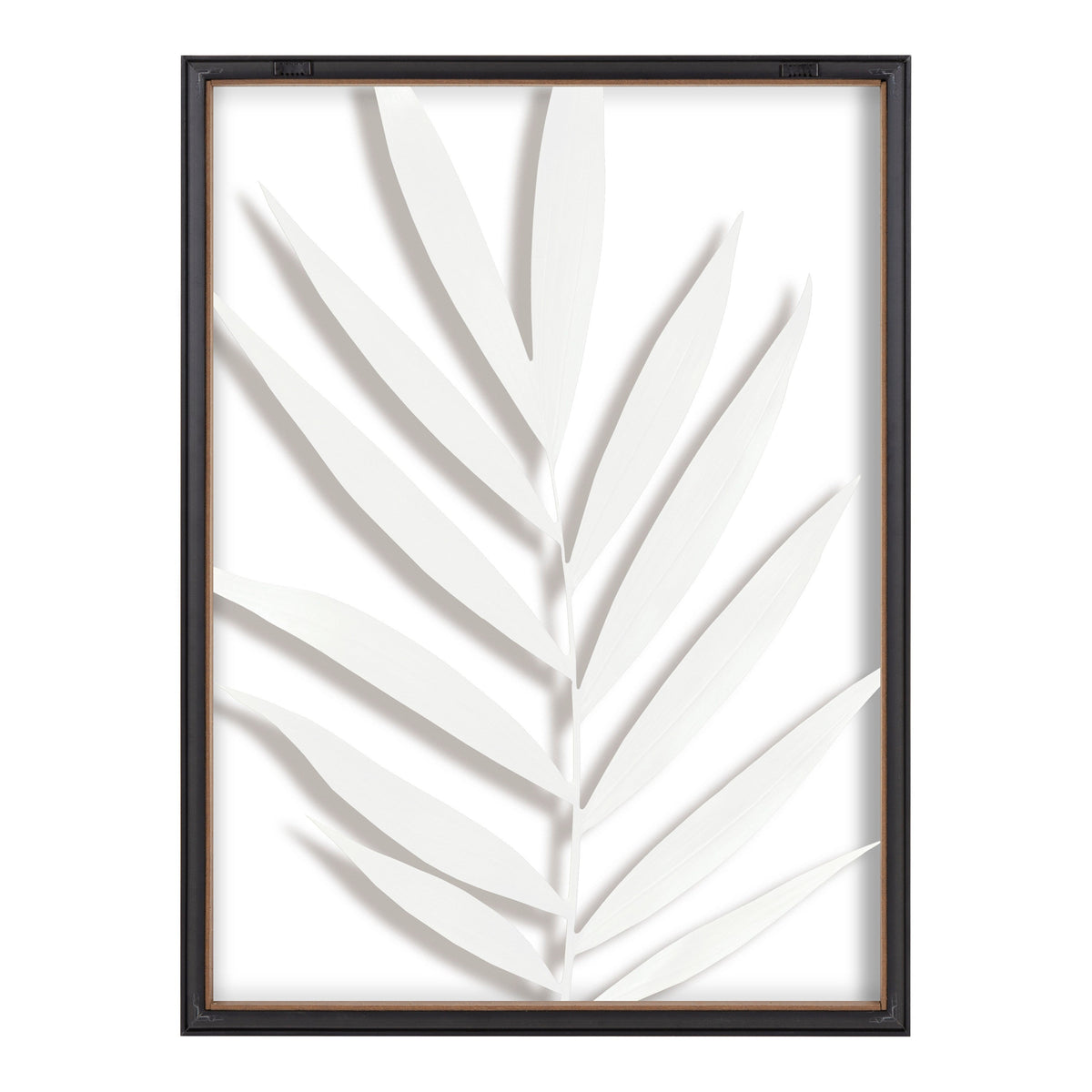 Blake Botanical 5F Framed Printed Glass by Amy Peterson