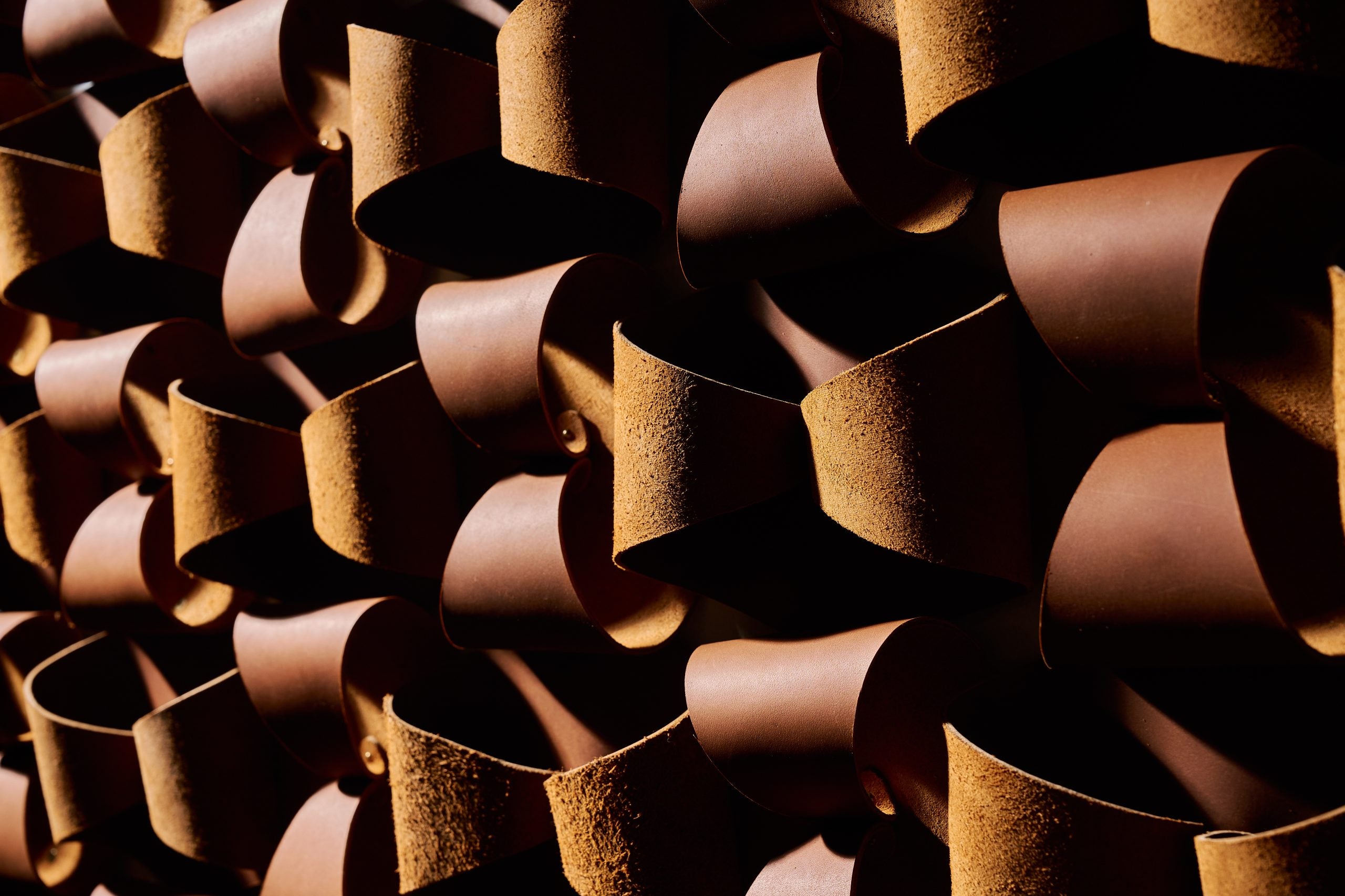 Curls image 6
