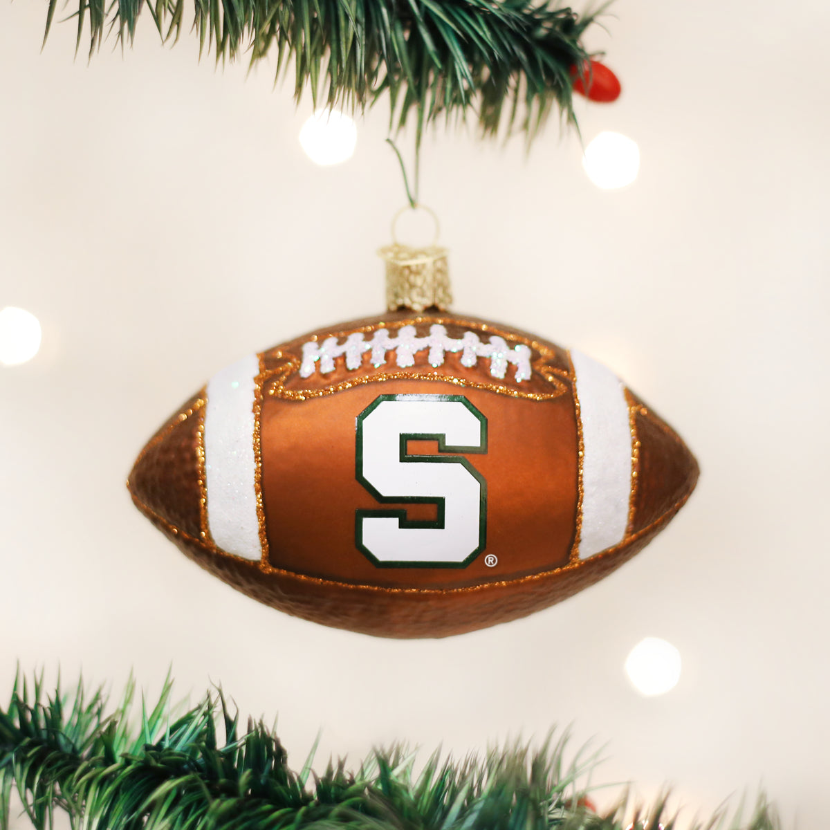 Michigan State Football