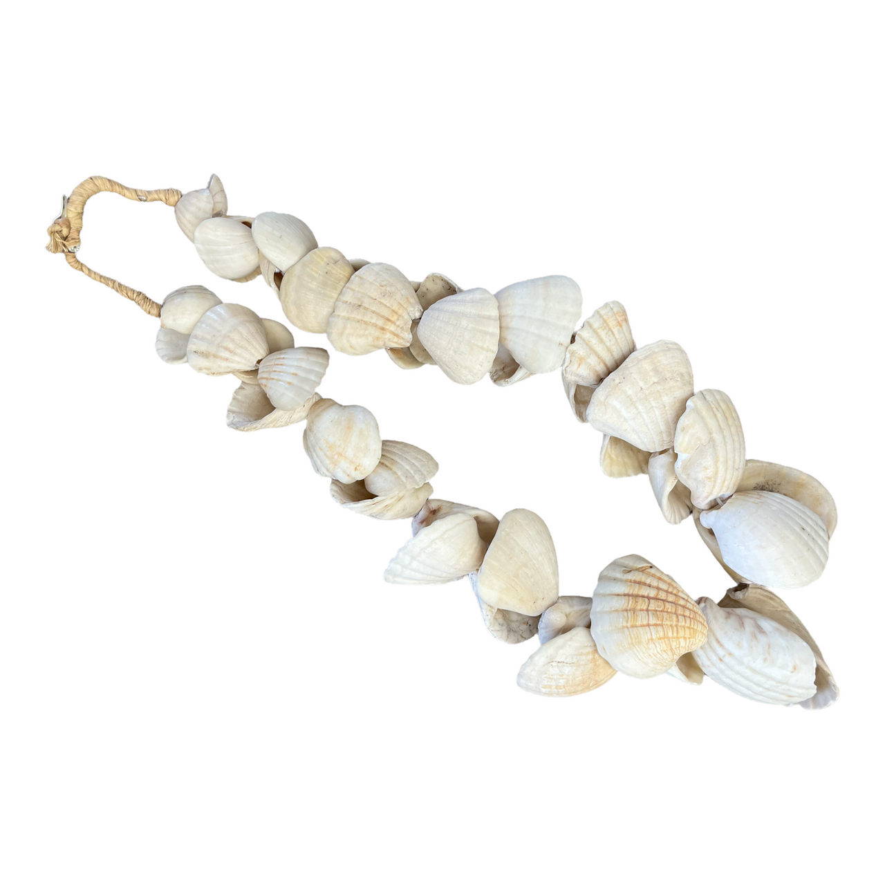 Large White Shell Strand ��" image
