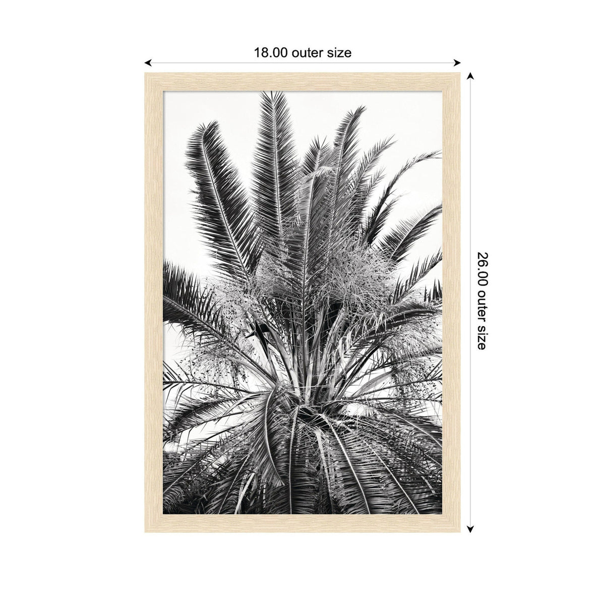 No 15 by Alicia Bock Framed Wall Art Print