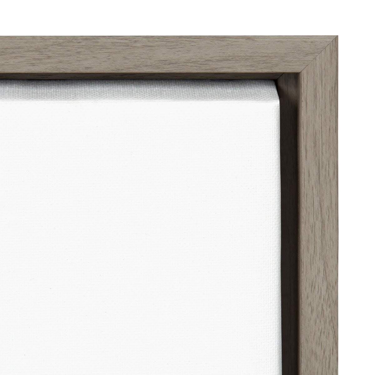 Sylvie Minimalist Woman Framed Canvas by Teju Reval