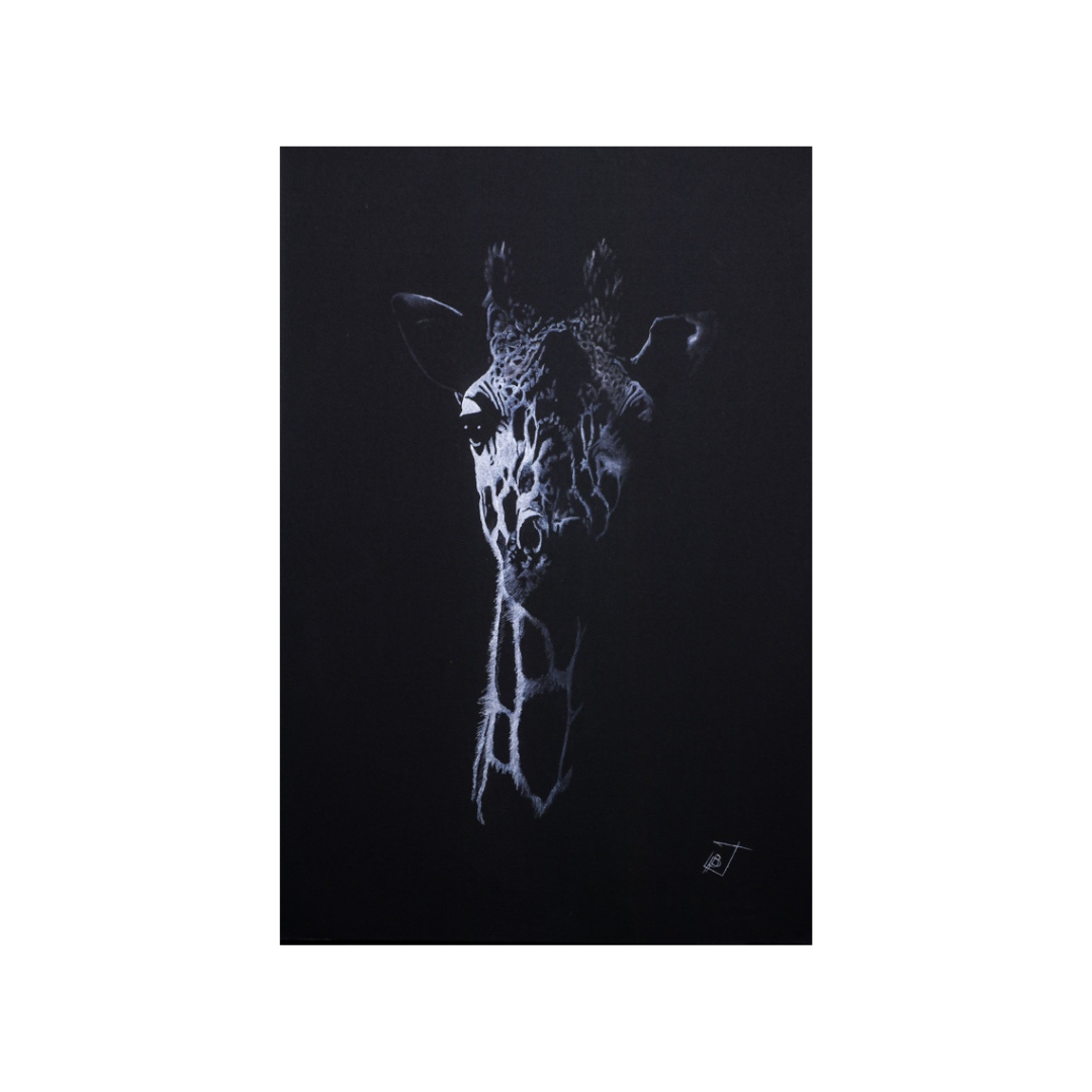 The Watchful One image 0